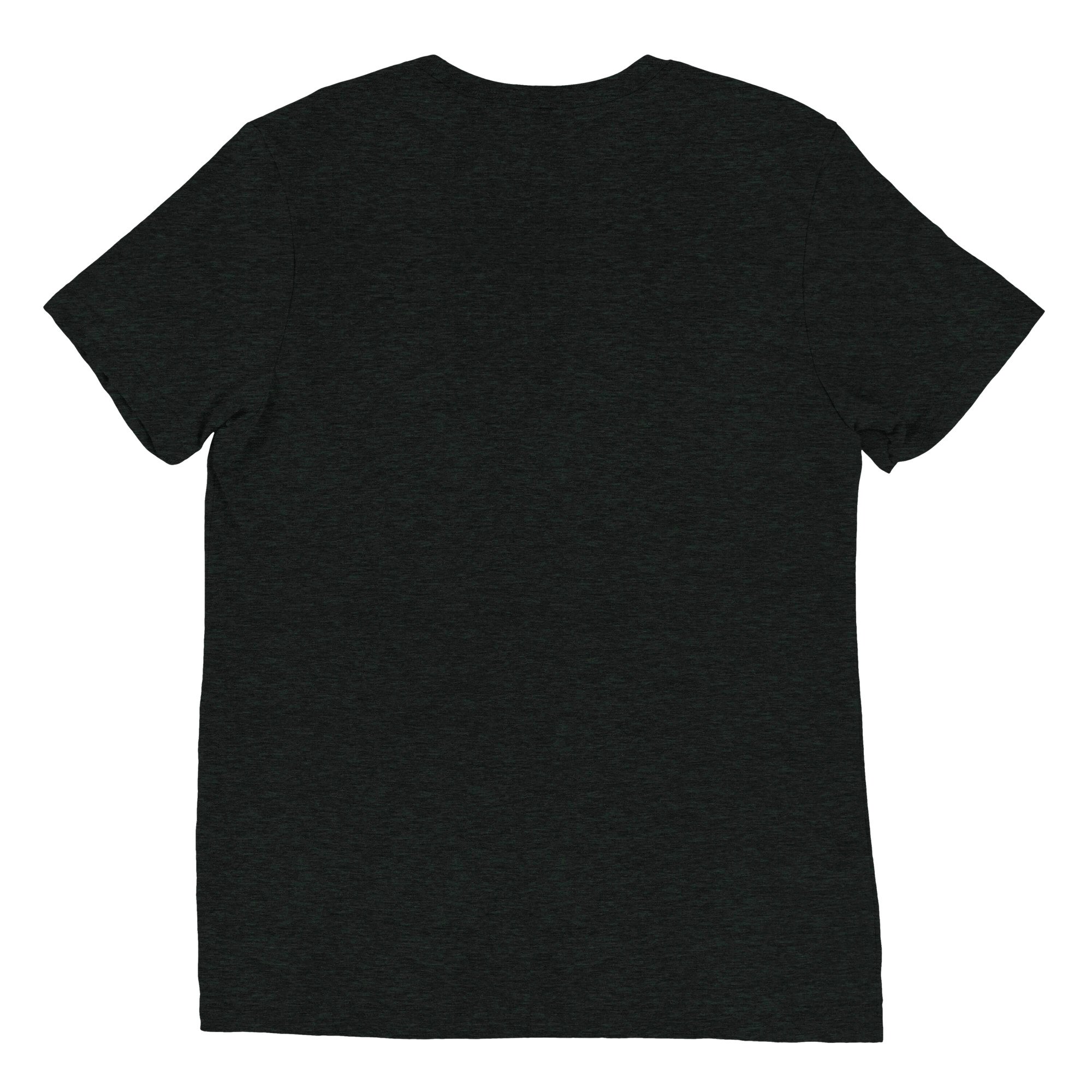 unisex-tri-blend-t-shirt-charcoal-black-triblend-back-670c35d649d02.jpg