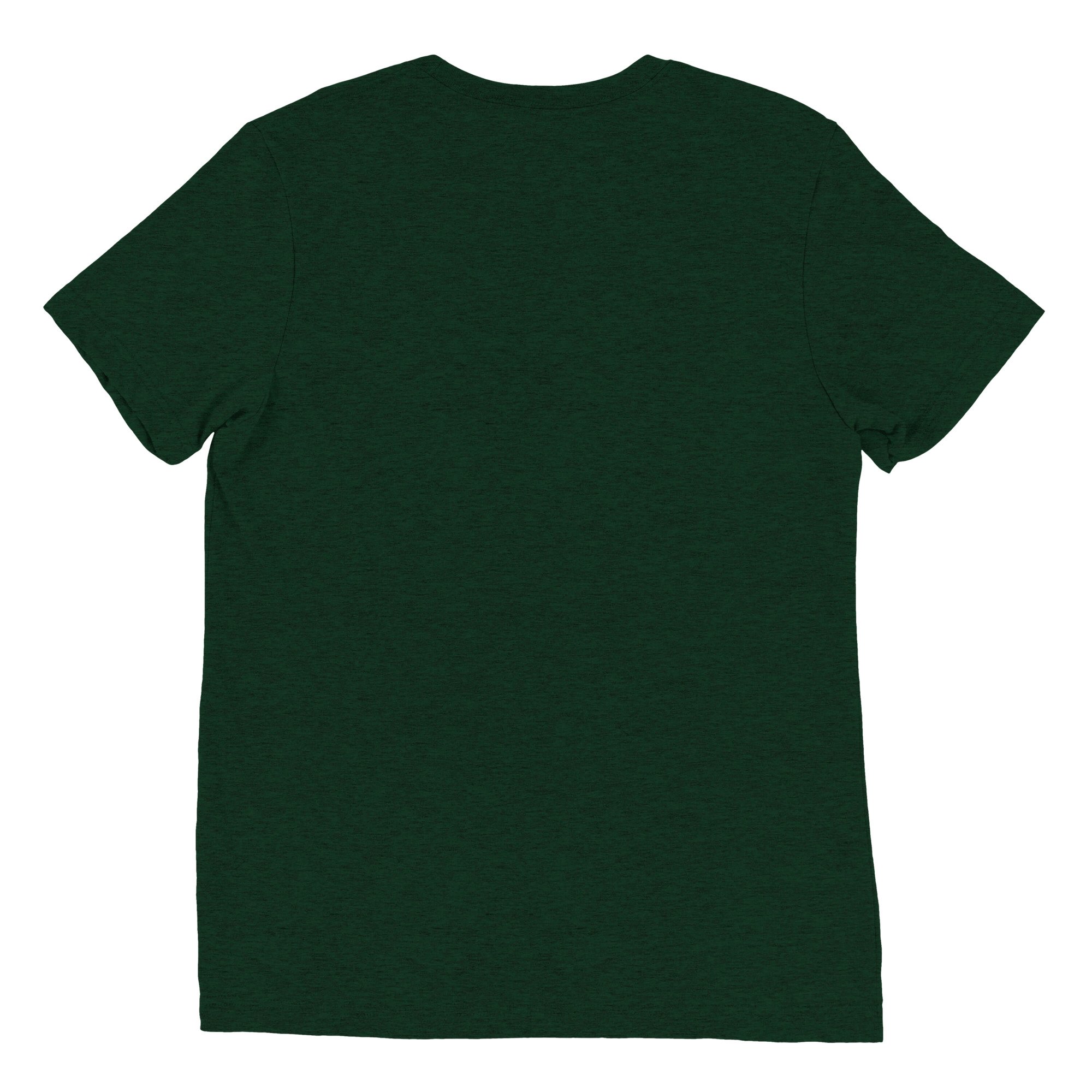 unisex-tri-blend-t-shirt-emerald-triblend-back-670c35d64de46.jpg