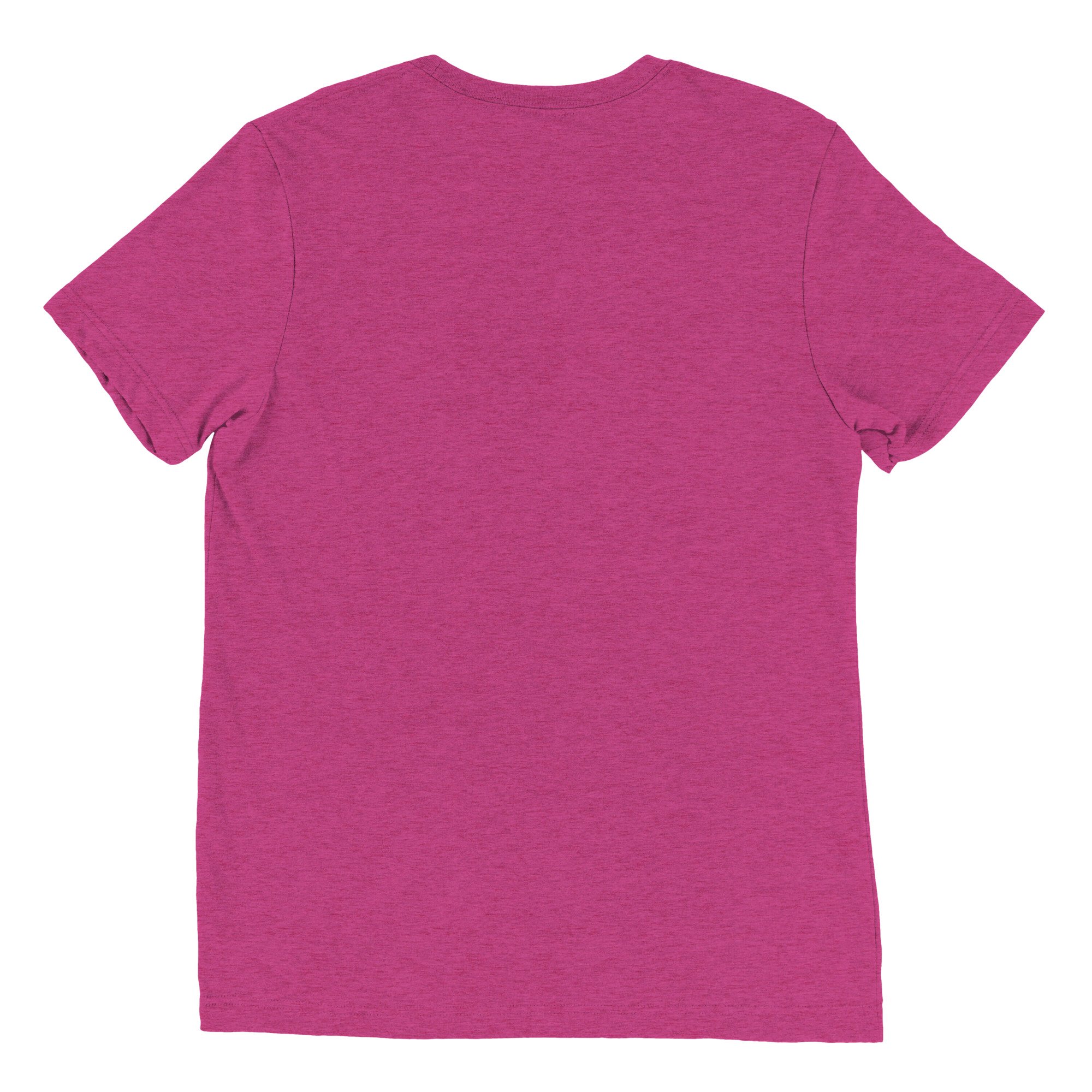 unisex-tri-blend-t-shirt-berry-triblend-back-670c35d681fb5.jpg