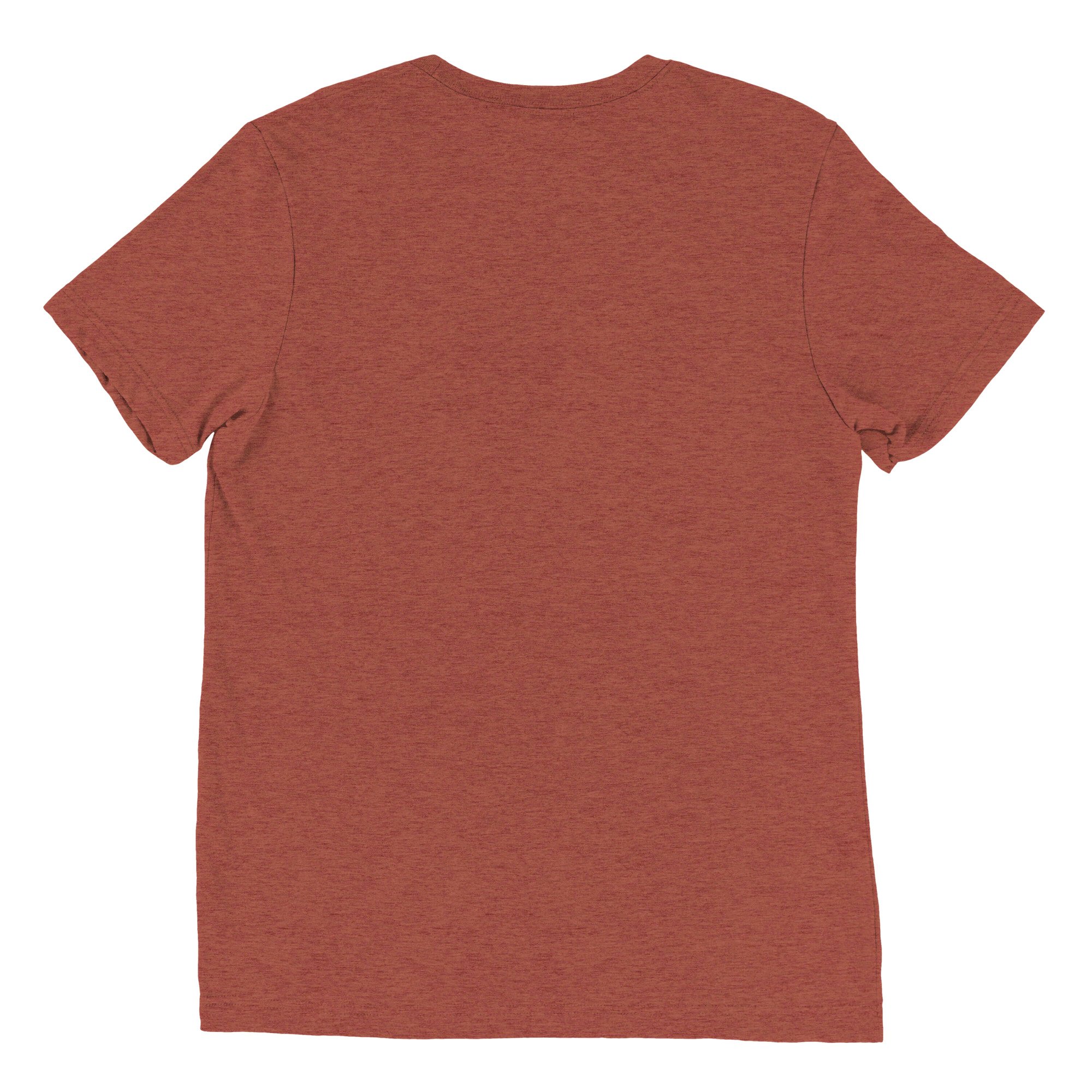 unisex-tri-blend-t-shirt-clay-triblend-back-670c35d6a423b.jpg