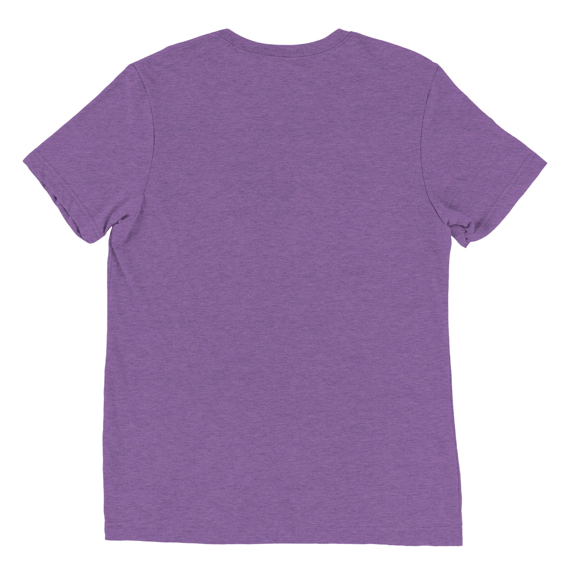unisex-tri-blend-t-shirt-purple-triblend-back-670c35d6d415f.jpg