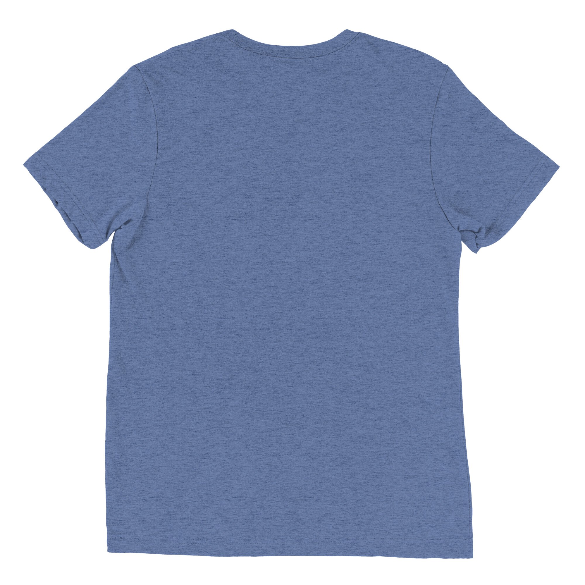unisex-tri-blend-t-shirt-blue-triblend-back-670c35d72fc13.jpg