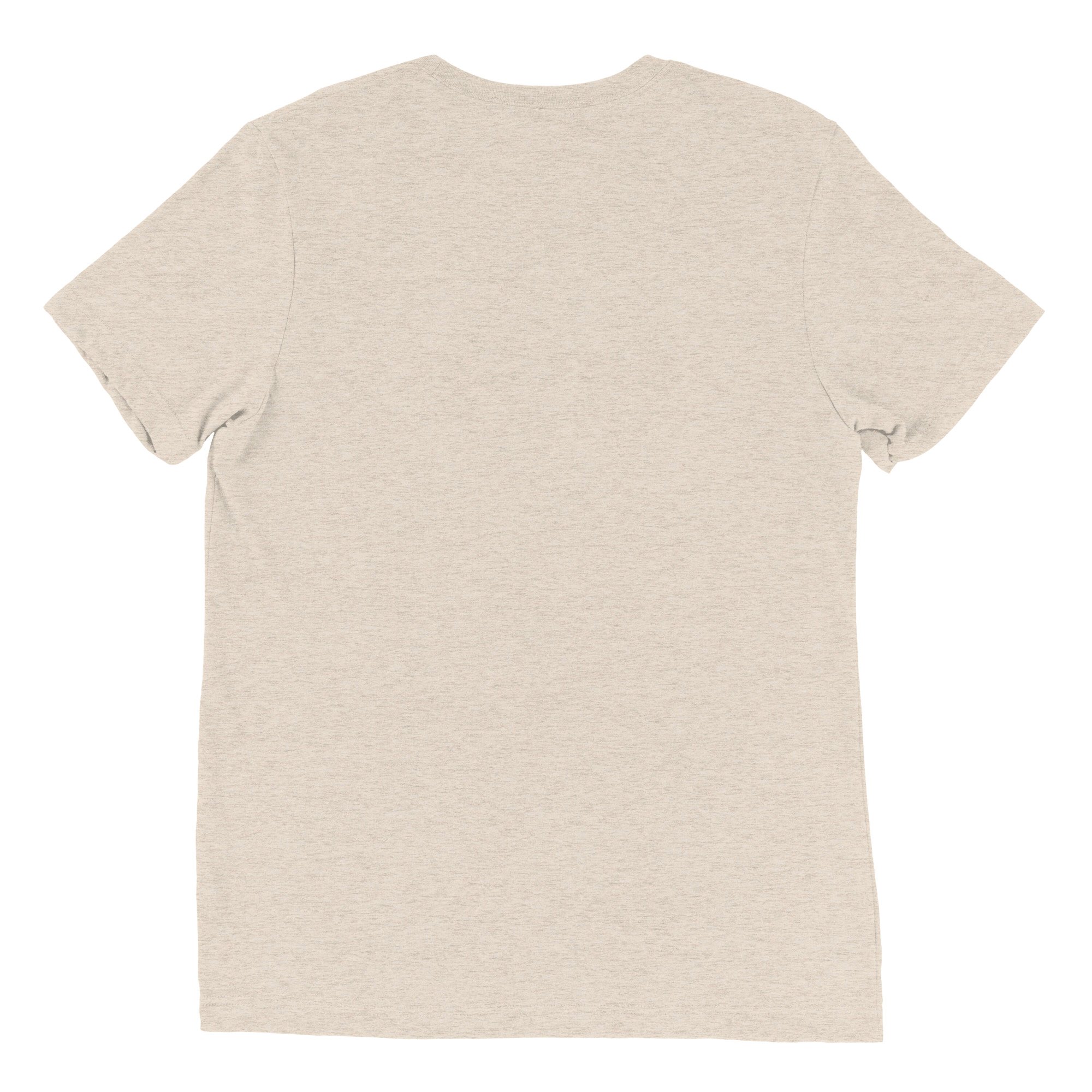 unisex-tri-blend-t-shirt-oatmeal-triblend-back-670c35d82bd4c.jpg
