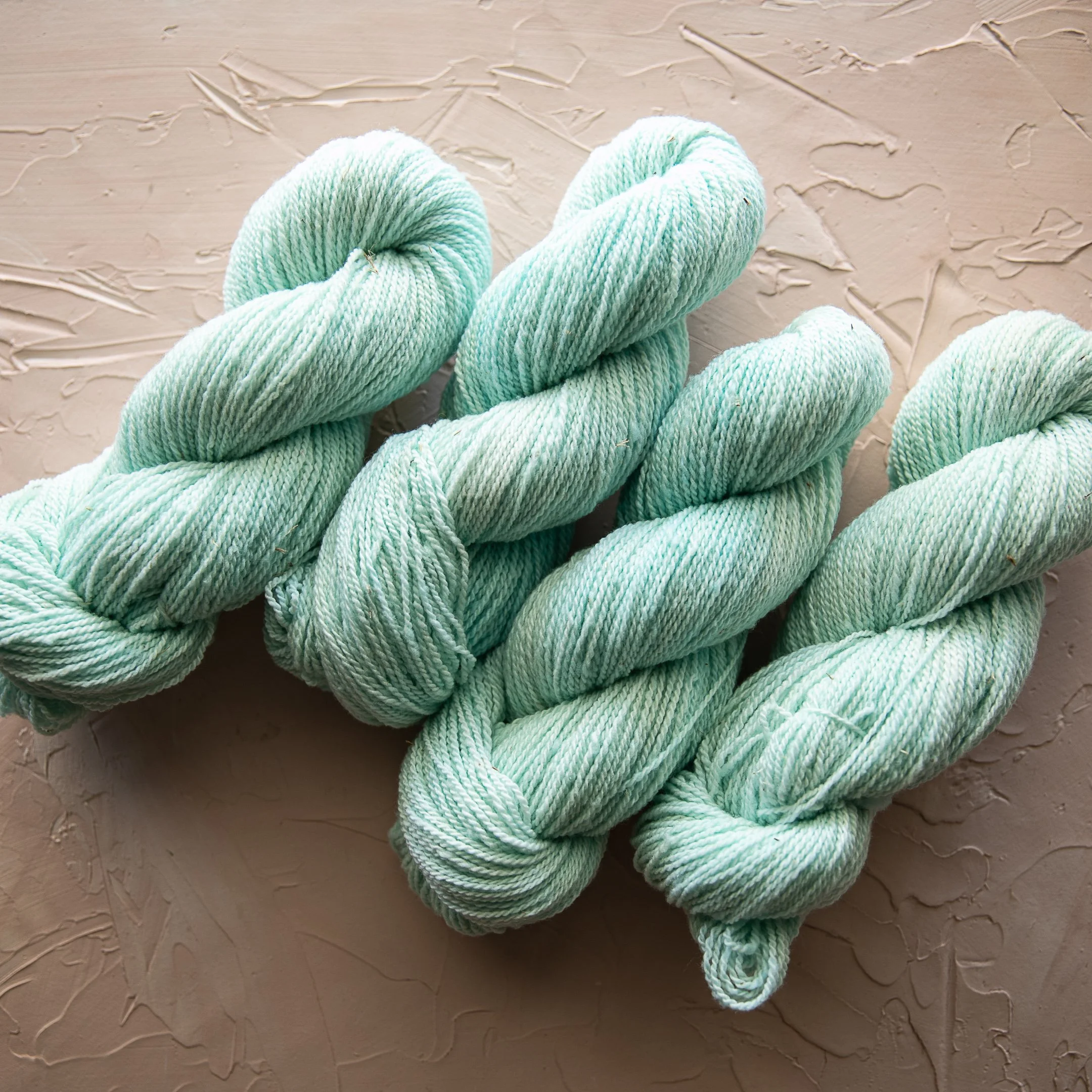 BSD Spectrum Colors-568.jpg