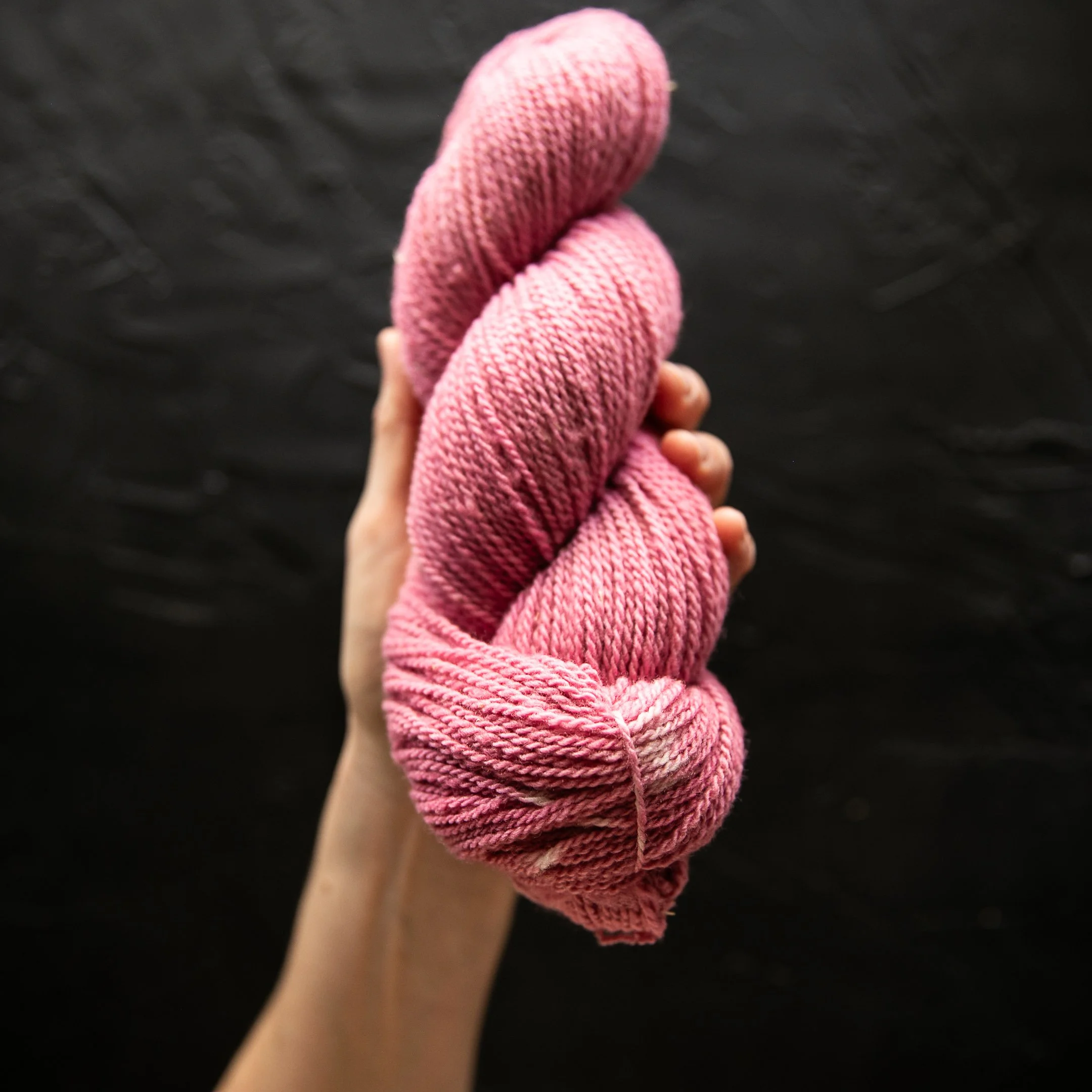 BSD Spectrum Colors-441.jpg