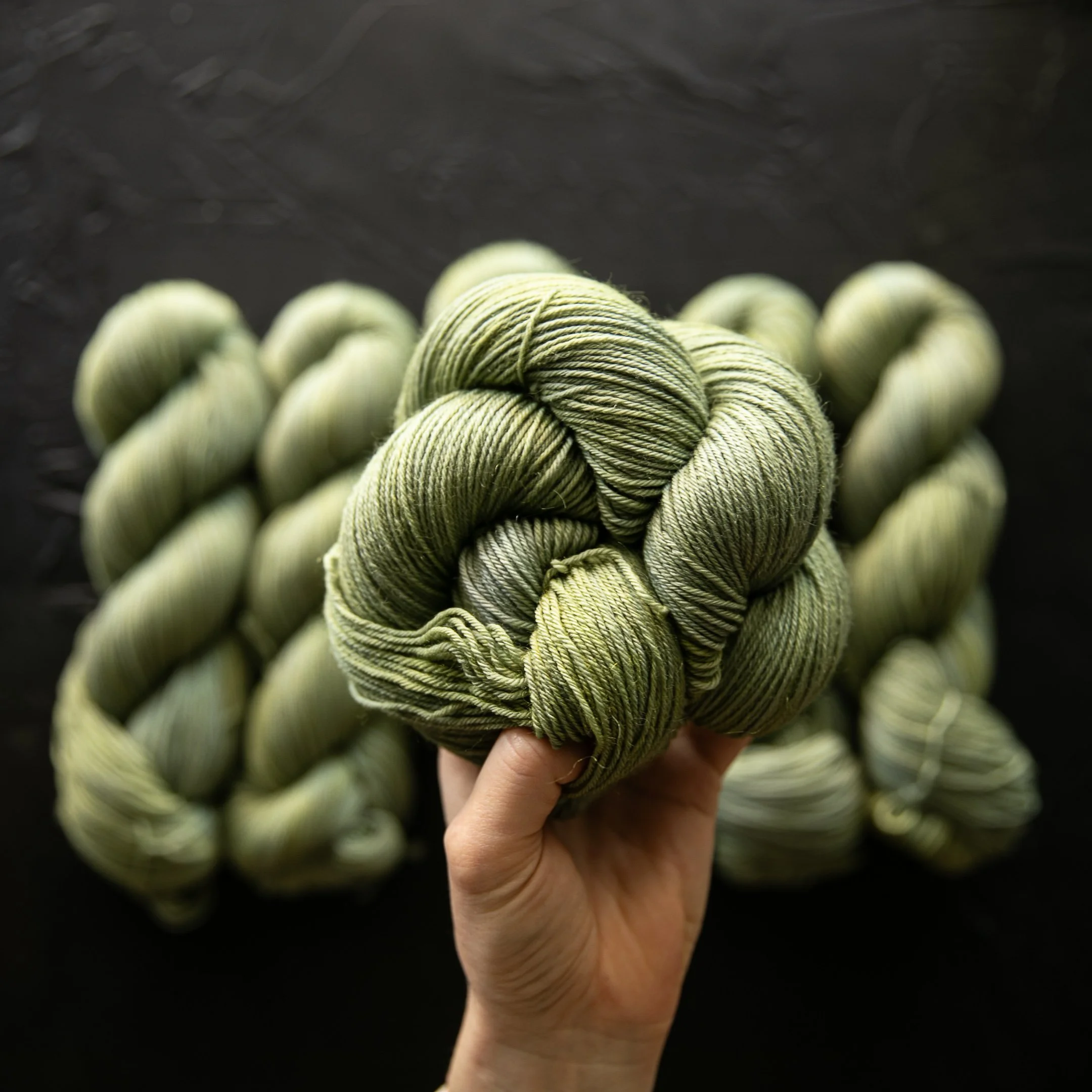 BSD Spectrum Colors-654.jpg