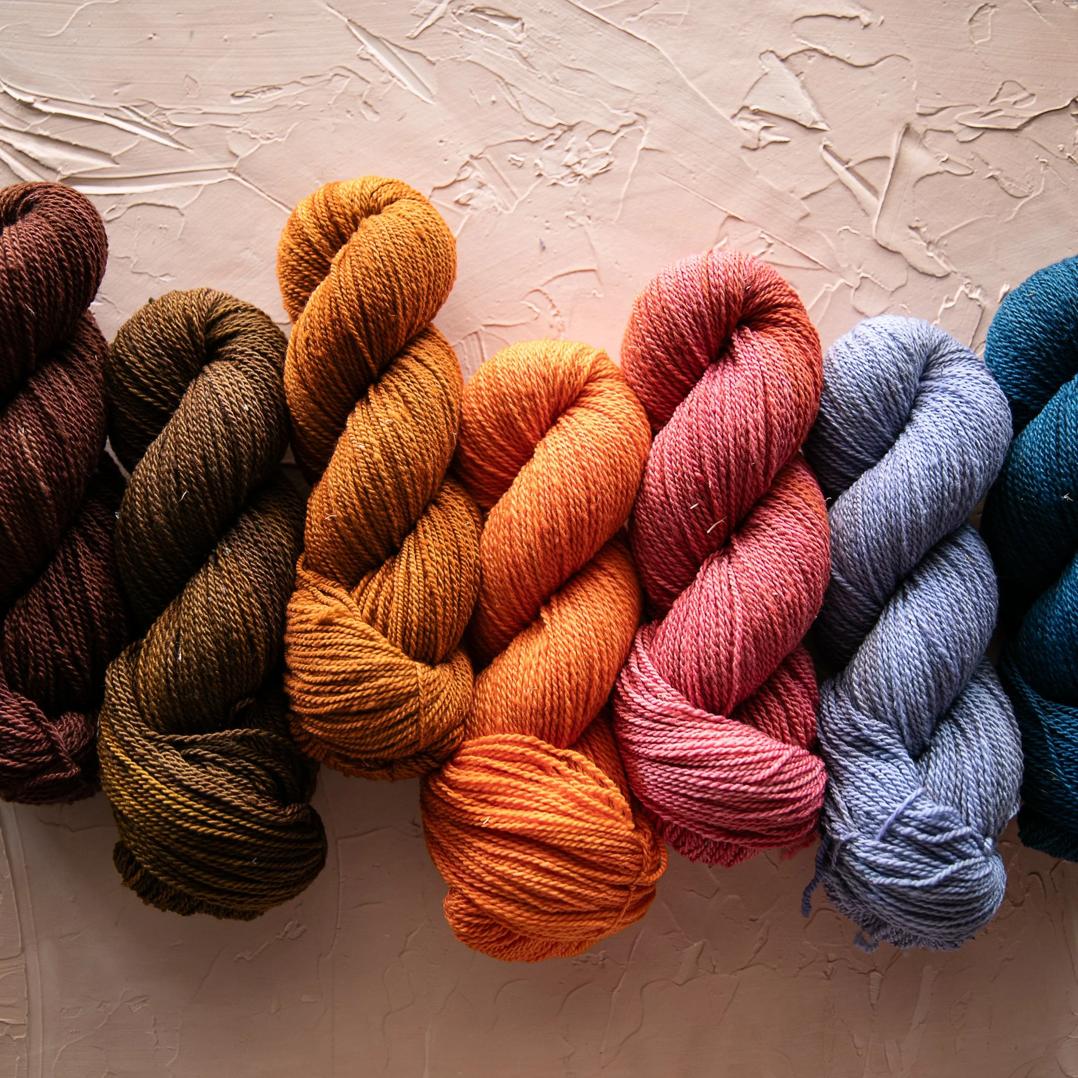 BSD Spectrum Colors-286.jpg