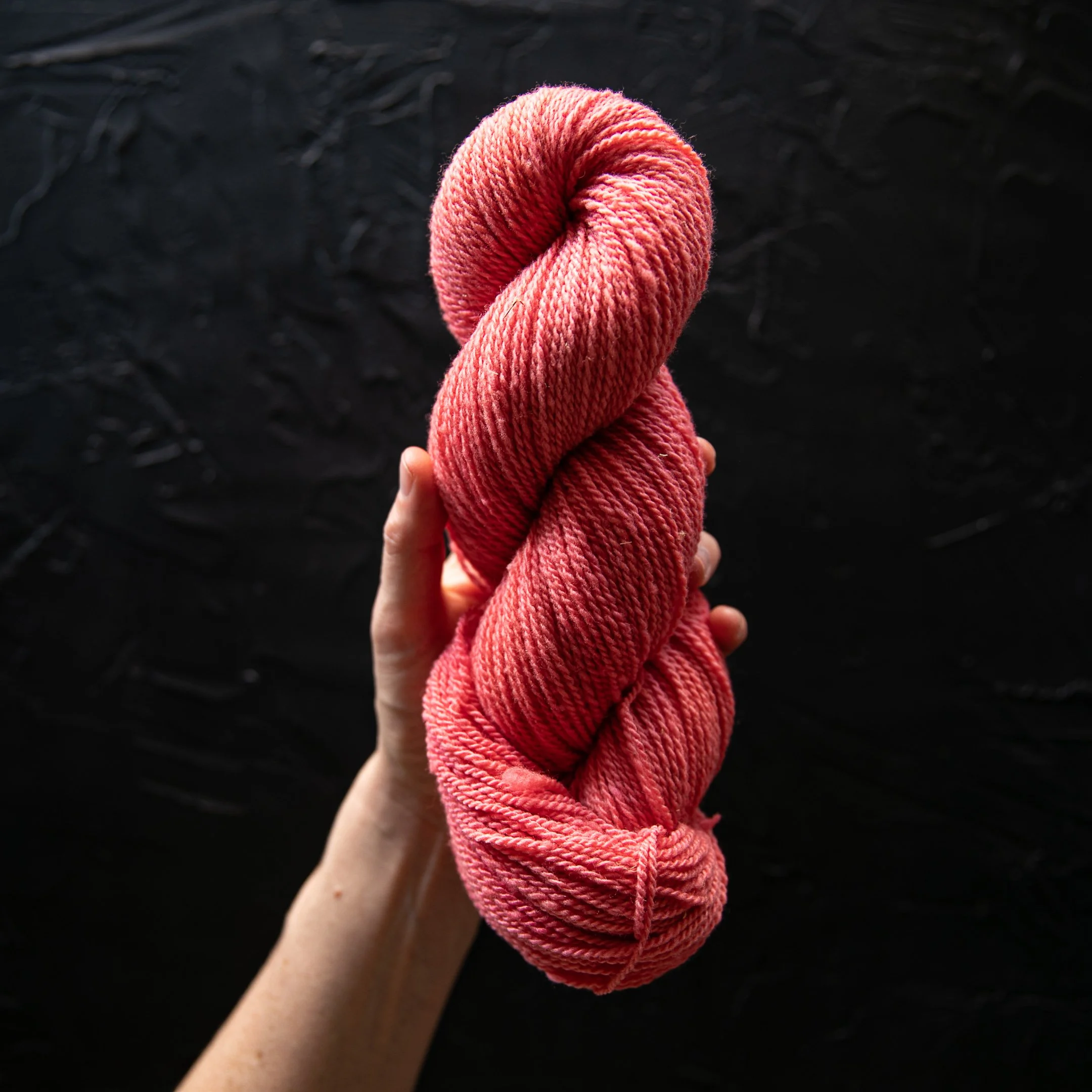 BSD Spectrum Colors-501.jpg