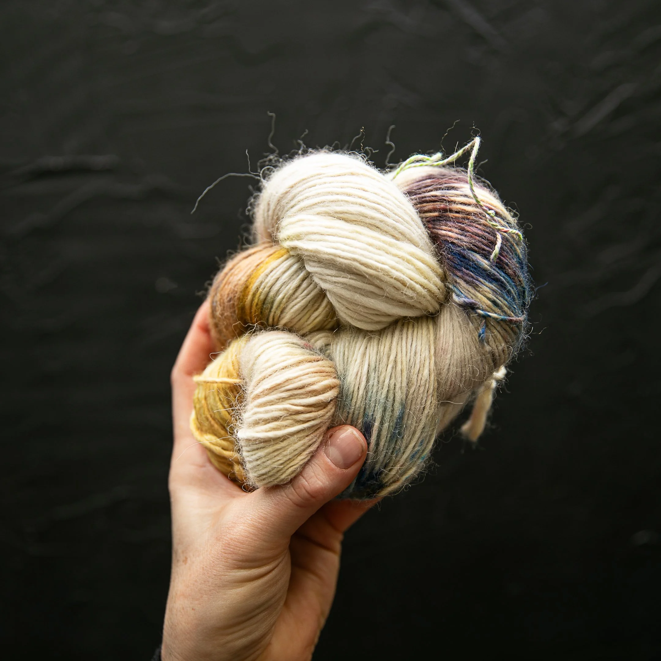 BSD Spectrum Colors-38.jpg