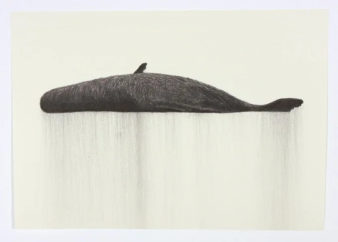 Charcoal drawing