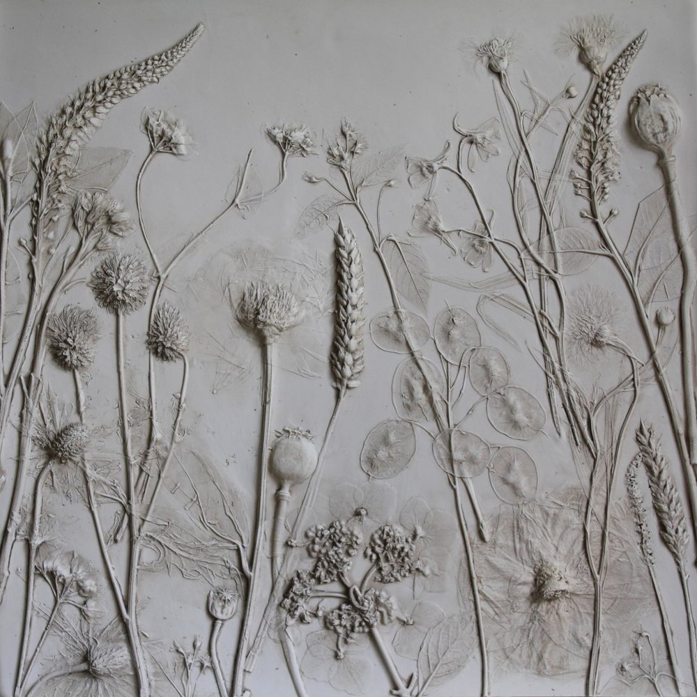 Plaster of Paris botanical impressions  Textured canvas art, Plaster wall  art, Plaster crafts