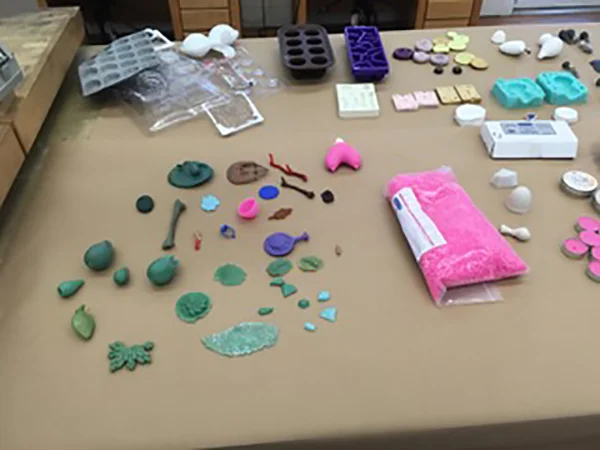 Wax samples. Photo courtesy of Mary Hallam Pearse.