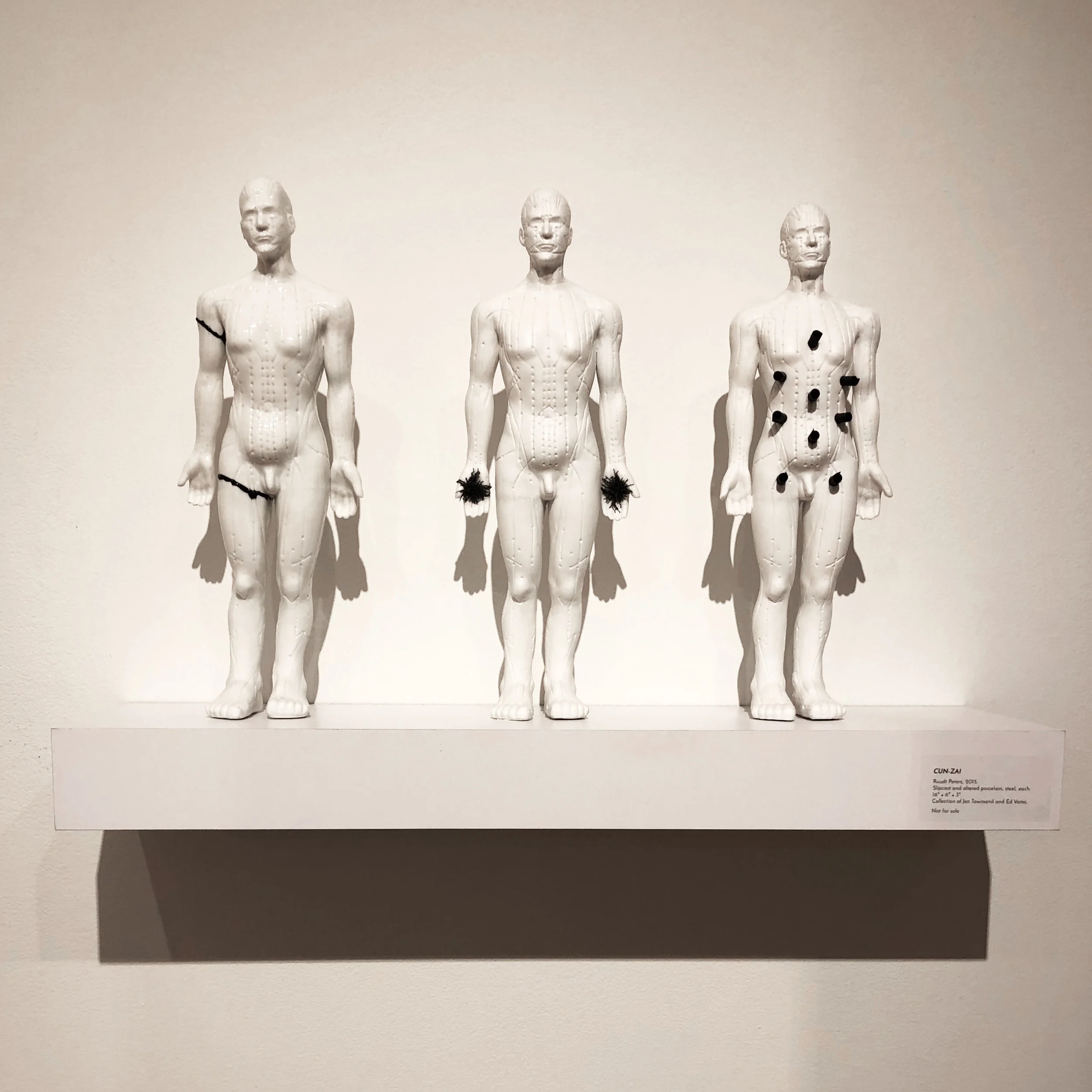 CAST Wayne Show 206.jpeg