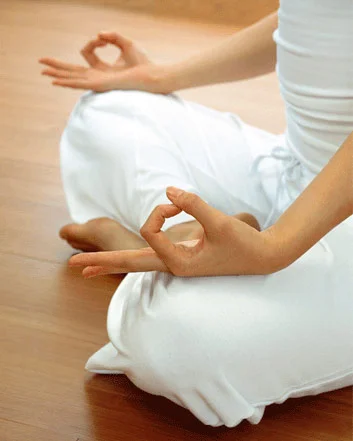 Winter 2014 Foundations of Meditation Class