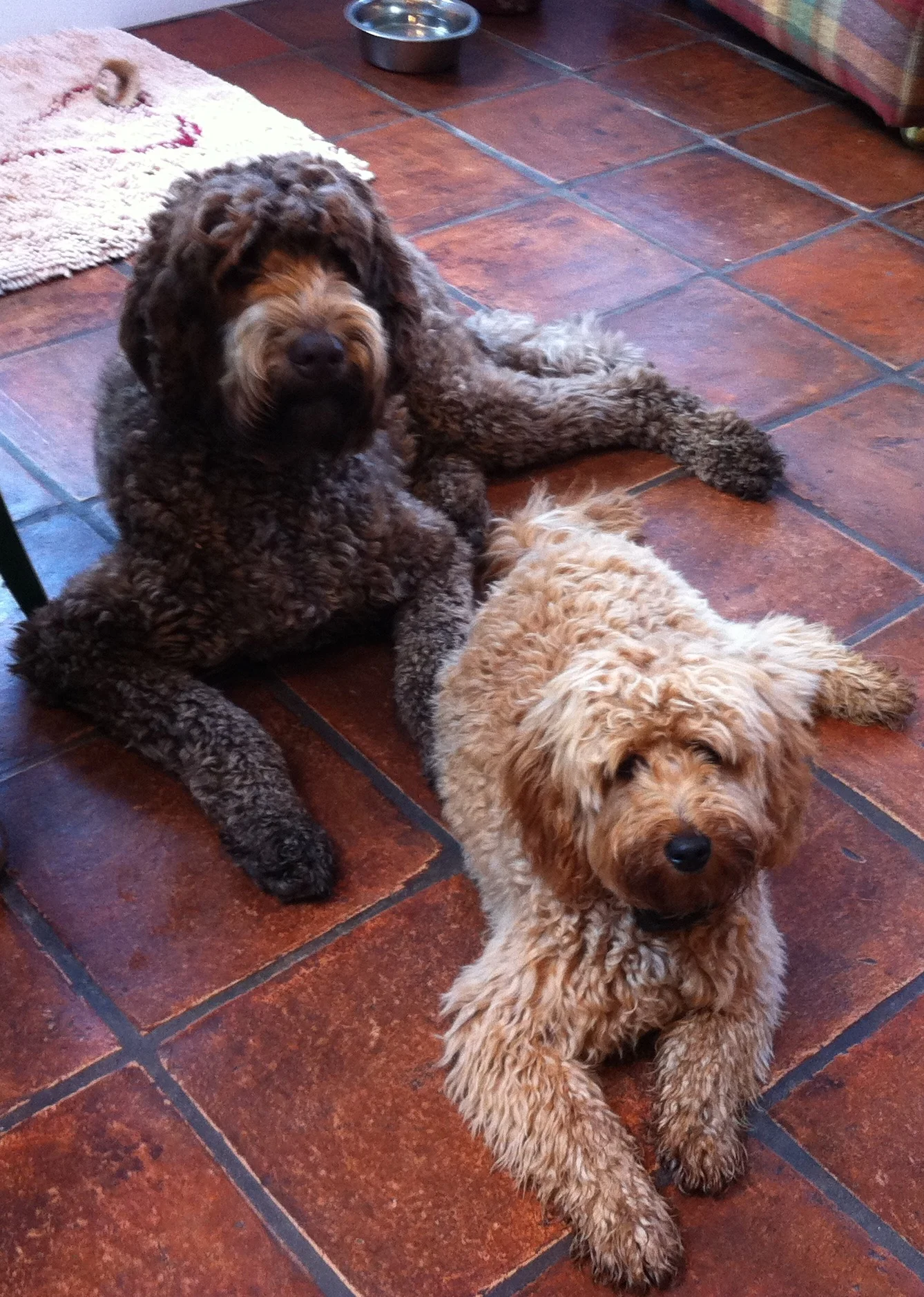 Peace Despite the Stick