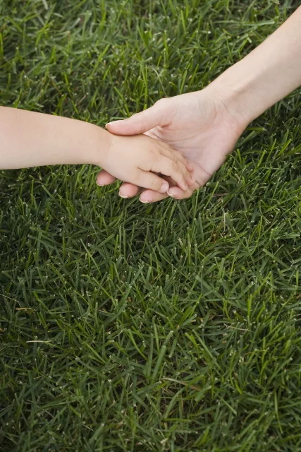 A Poem for Reflection - Quiet The Mind