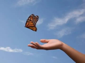 Your Greatest Legacy