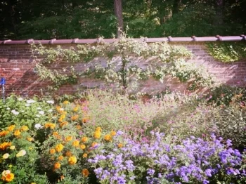 The Gardens at the Garrison Institute.