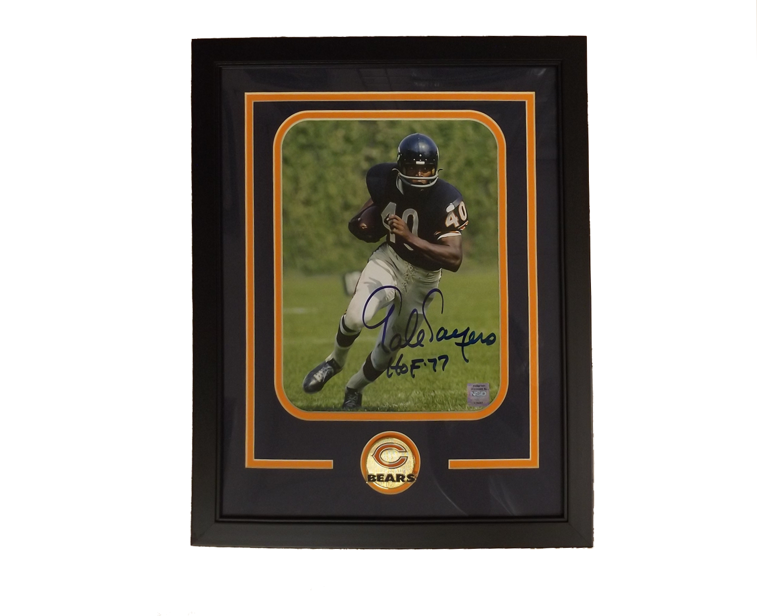 Gayle Sayers