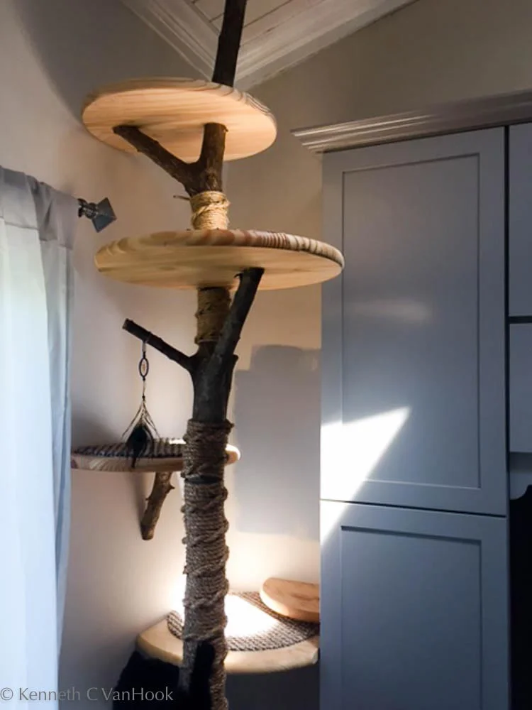 2017-6-4_Cat Tree_5720-1.jpg