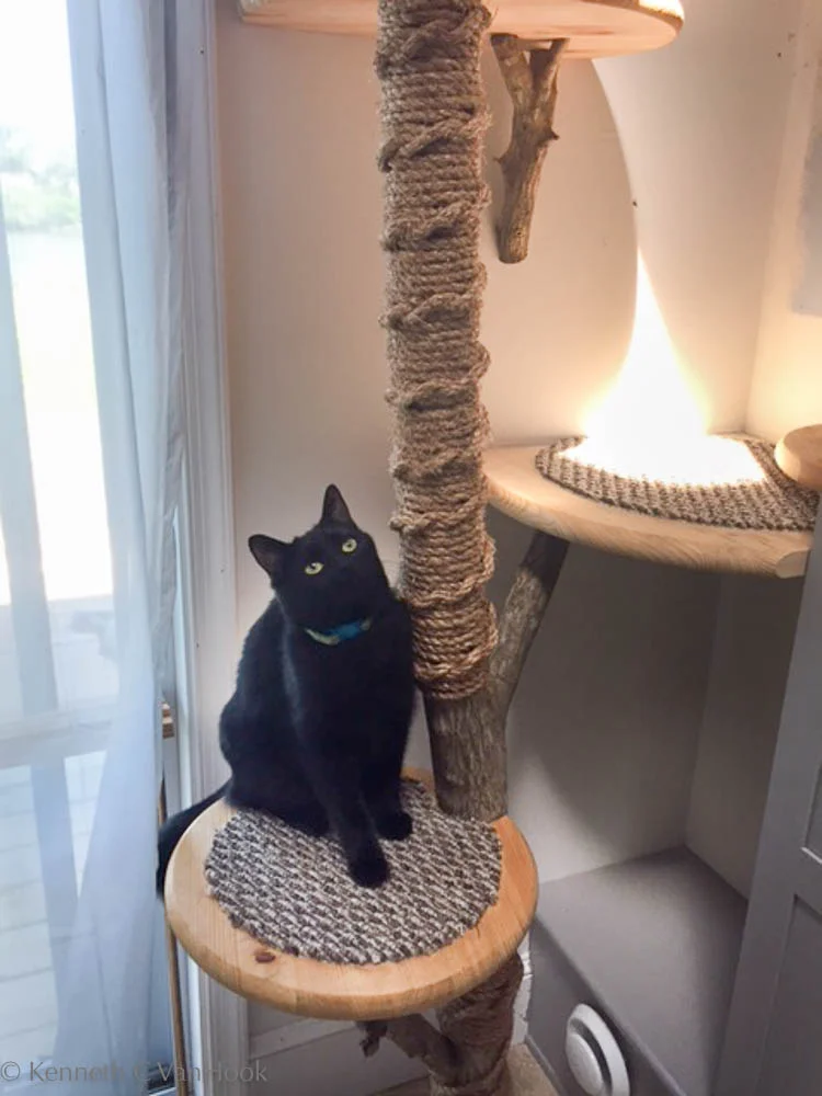 2017-6-4_Cat Tree_5698-1.jpg