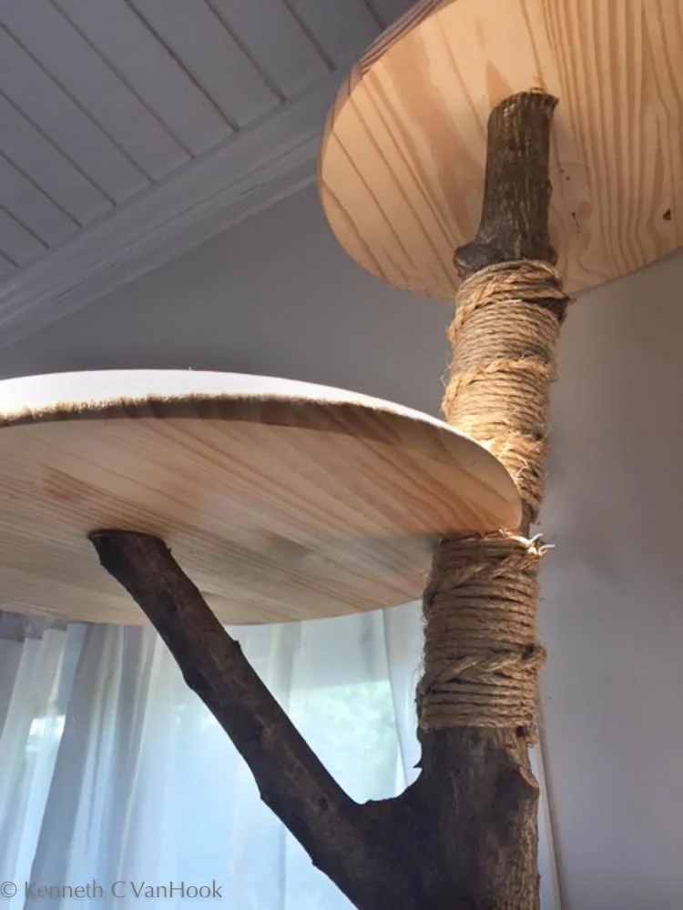 2017-6-4_Cat Tree_5711-1.jpg