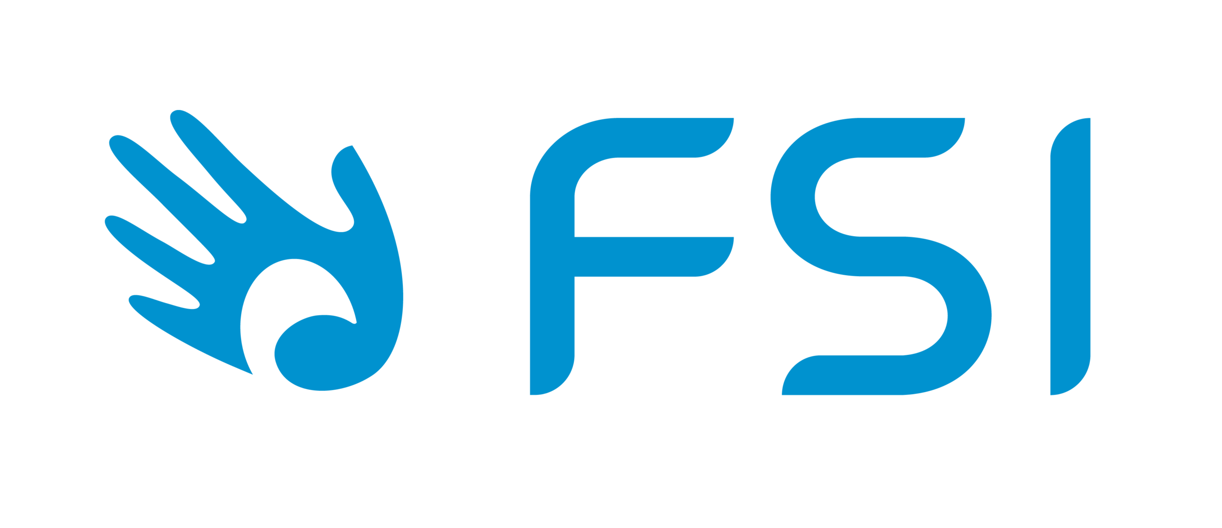 FSI logo -png - transparent background.png