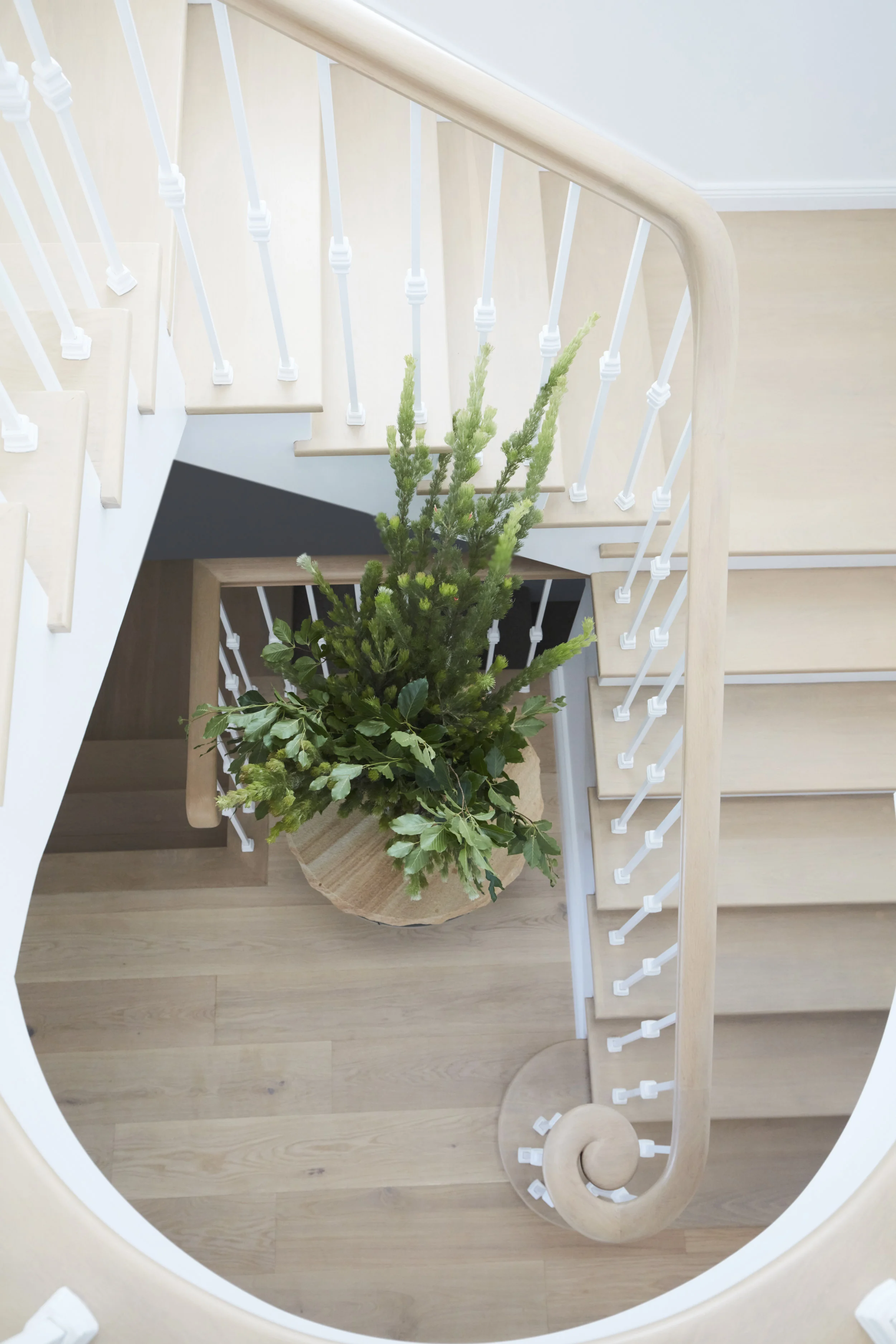 Lane&Grove_Bronte 01_15.jpg