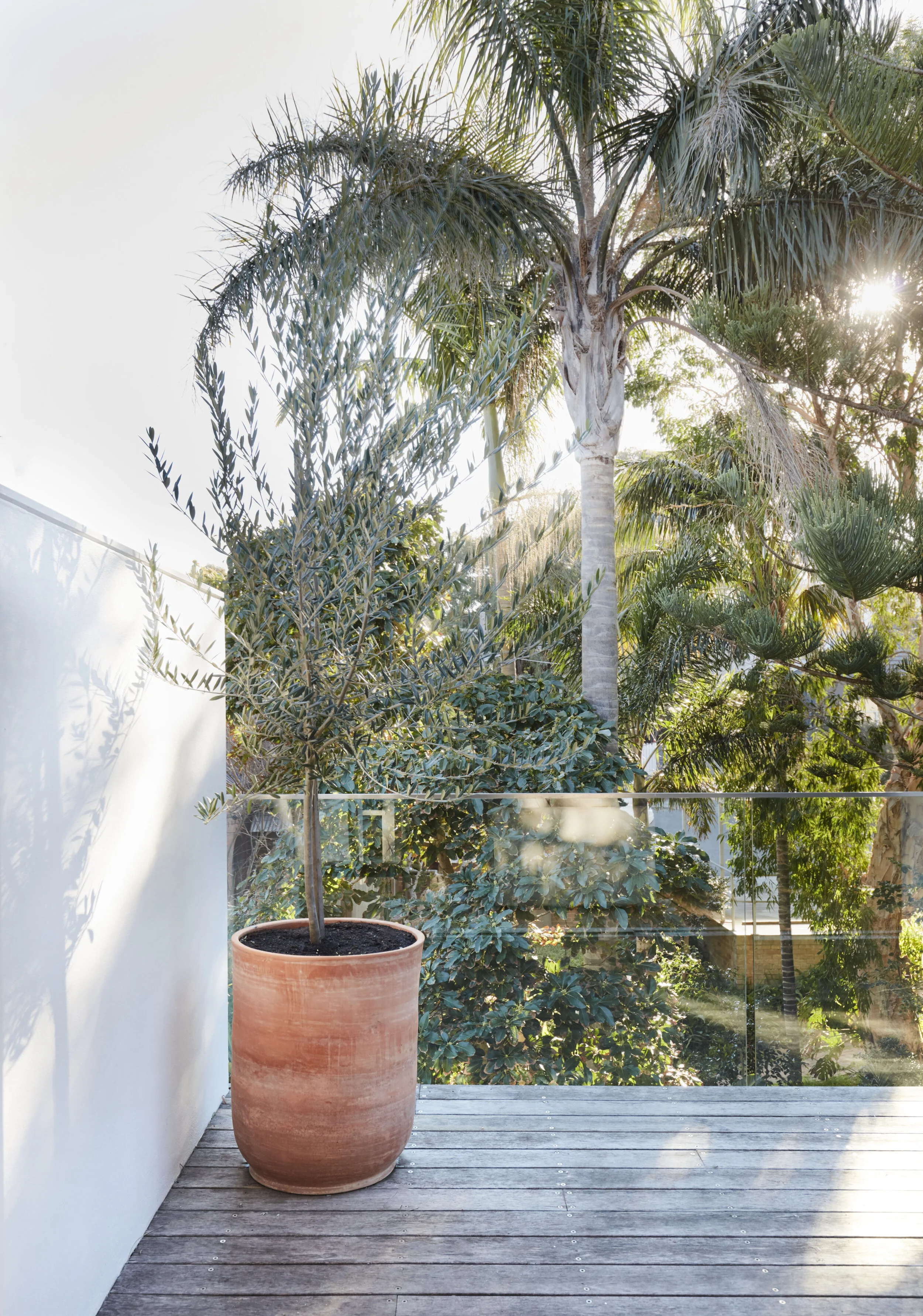 Lane&Grove_Clovelly 02_05.jpg