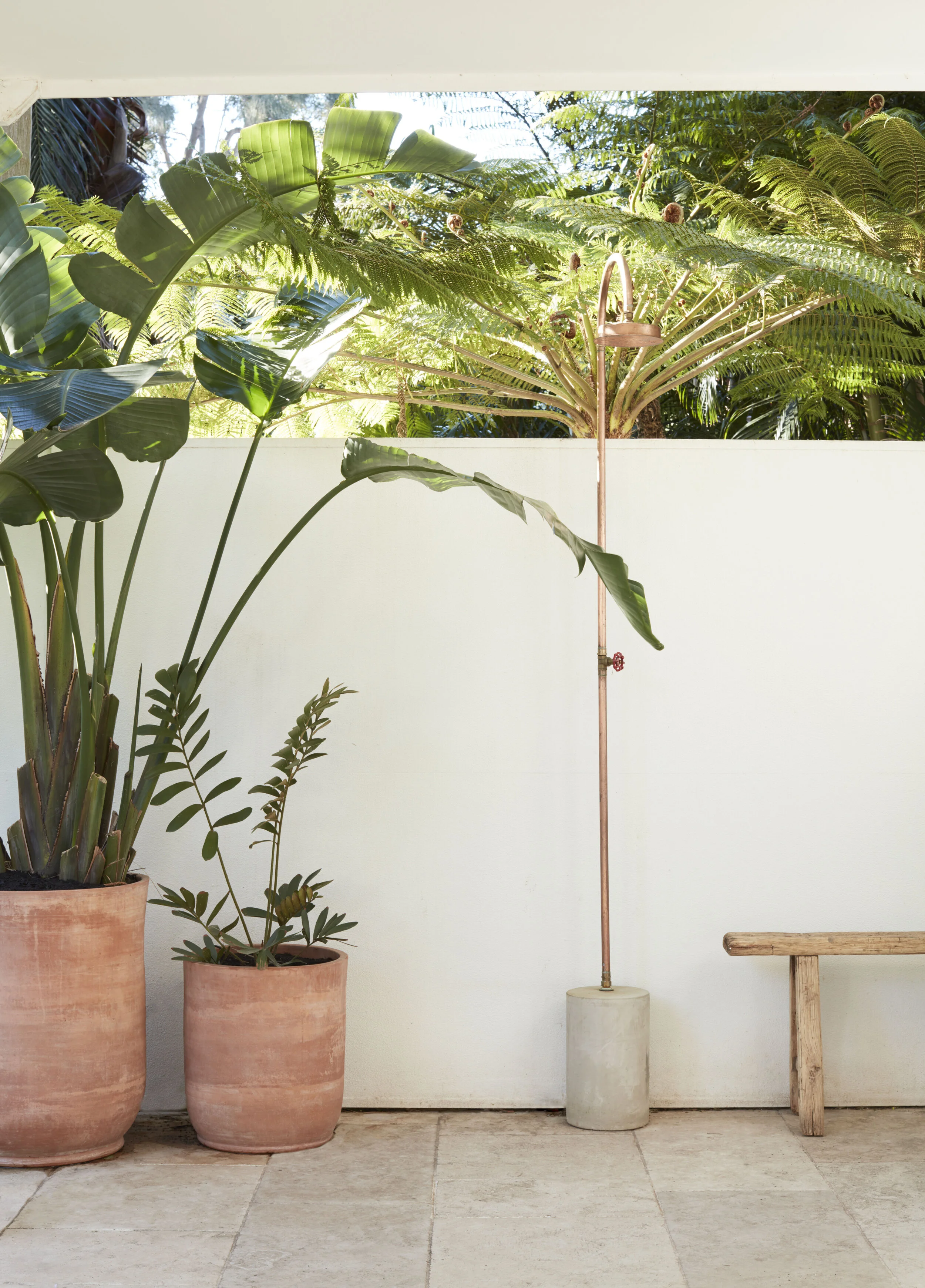 Lane&Grove_Clovelly 02_21.jpg