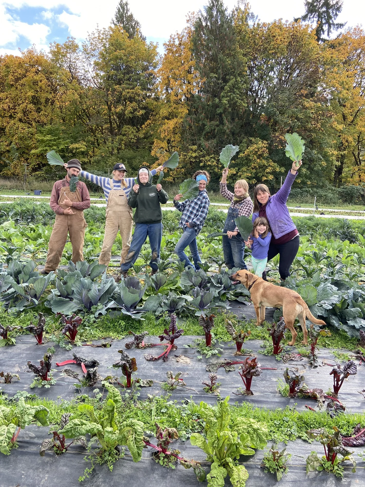 Community Supported Agriculture — RED TRUCK FARM