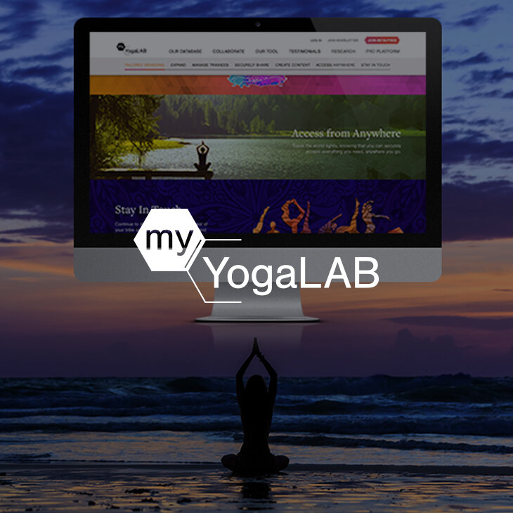 VIEW CASE STUDY >