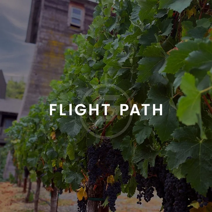 VIEW CASE STUDY &gt;