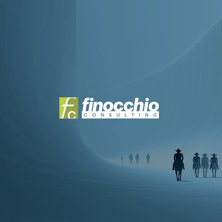 FINOCCHIO CONSULTING CASE STUDY > 