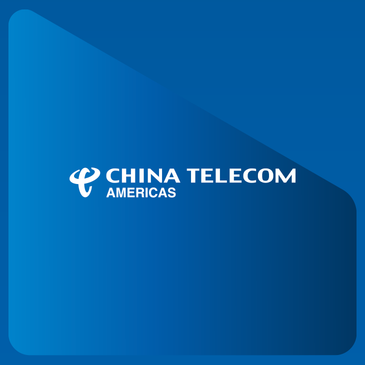 CHINA TELECOM AMERICAS (CTA) >