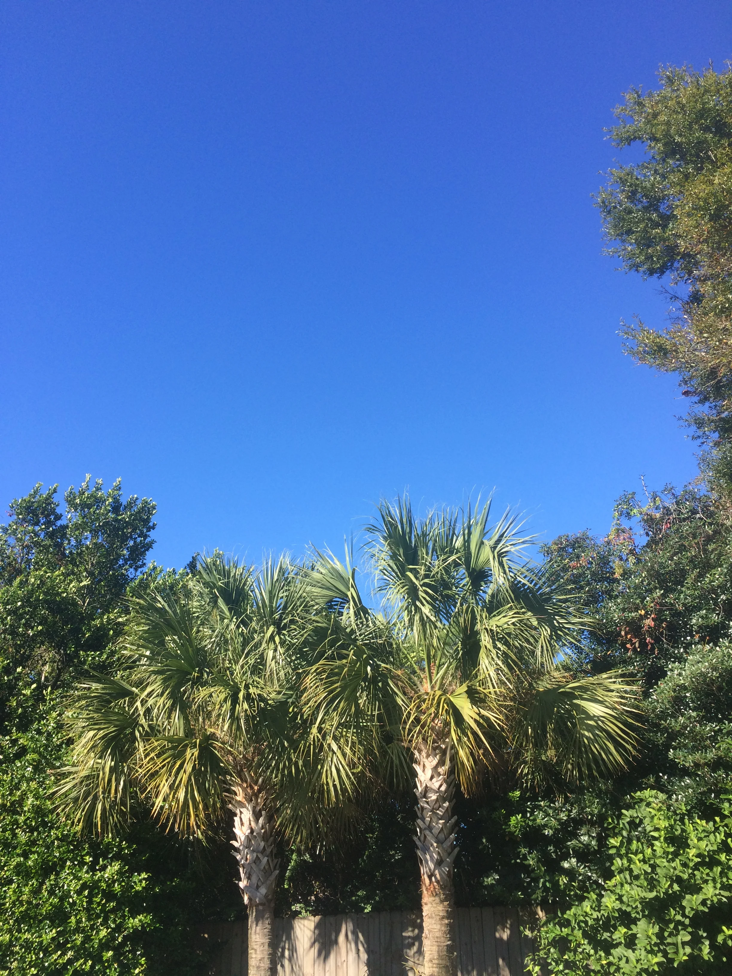 Simple Abundance Blog Joy Detectives