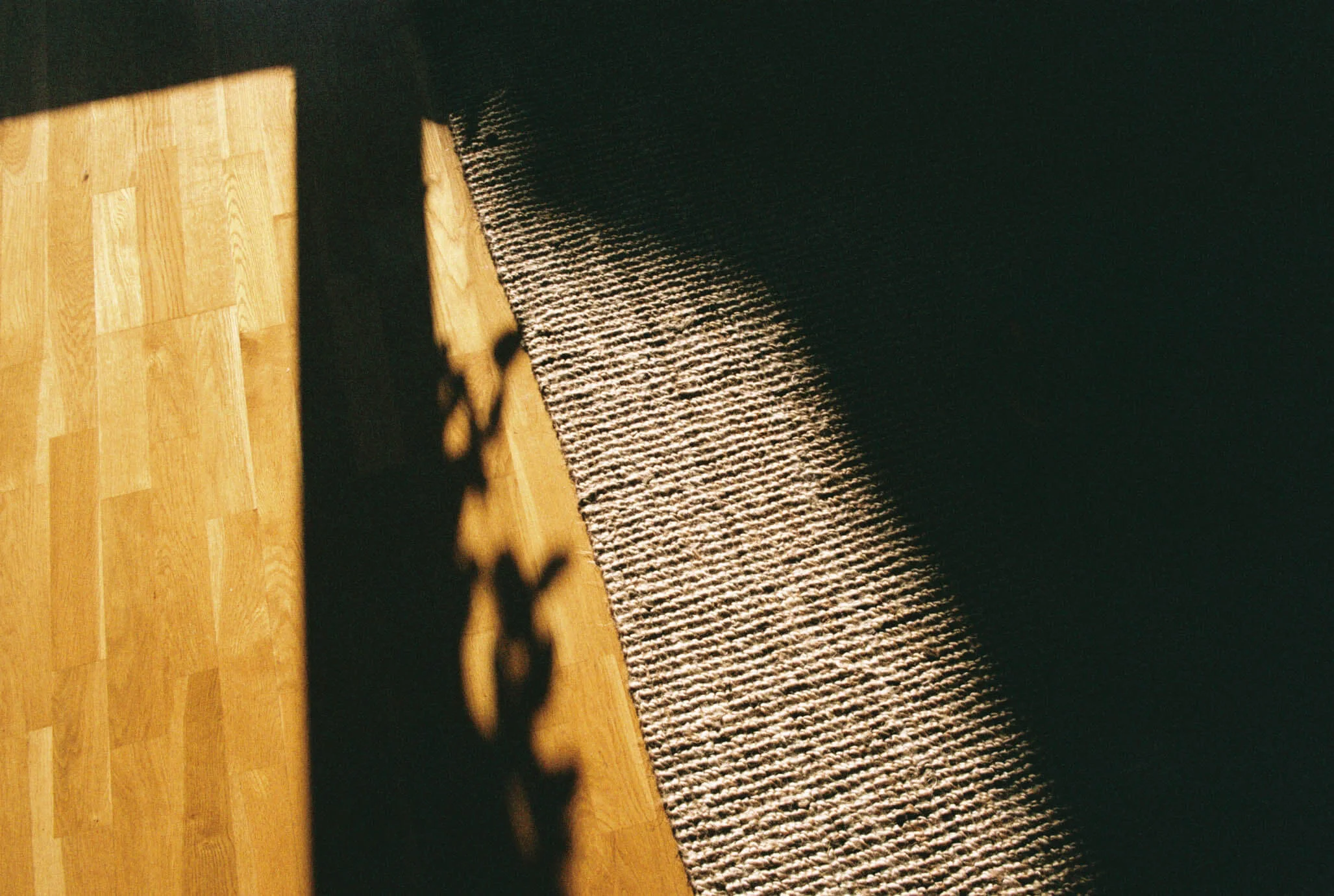 A20603_015A.jpg