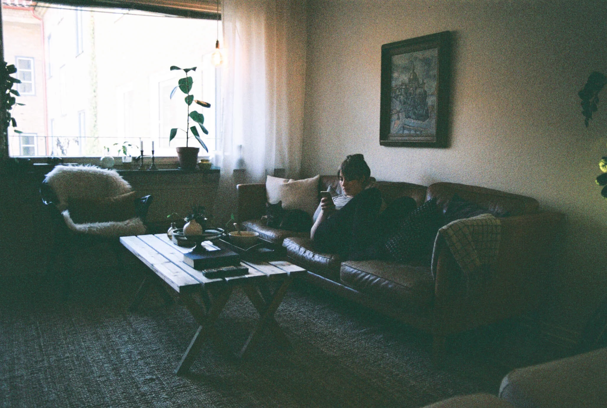 A20603_016A.jpg