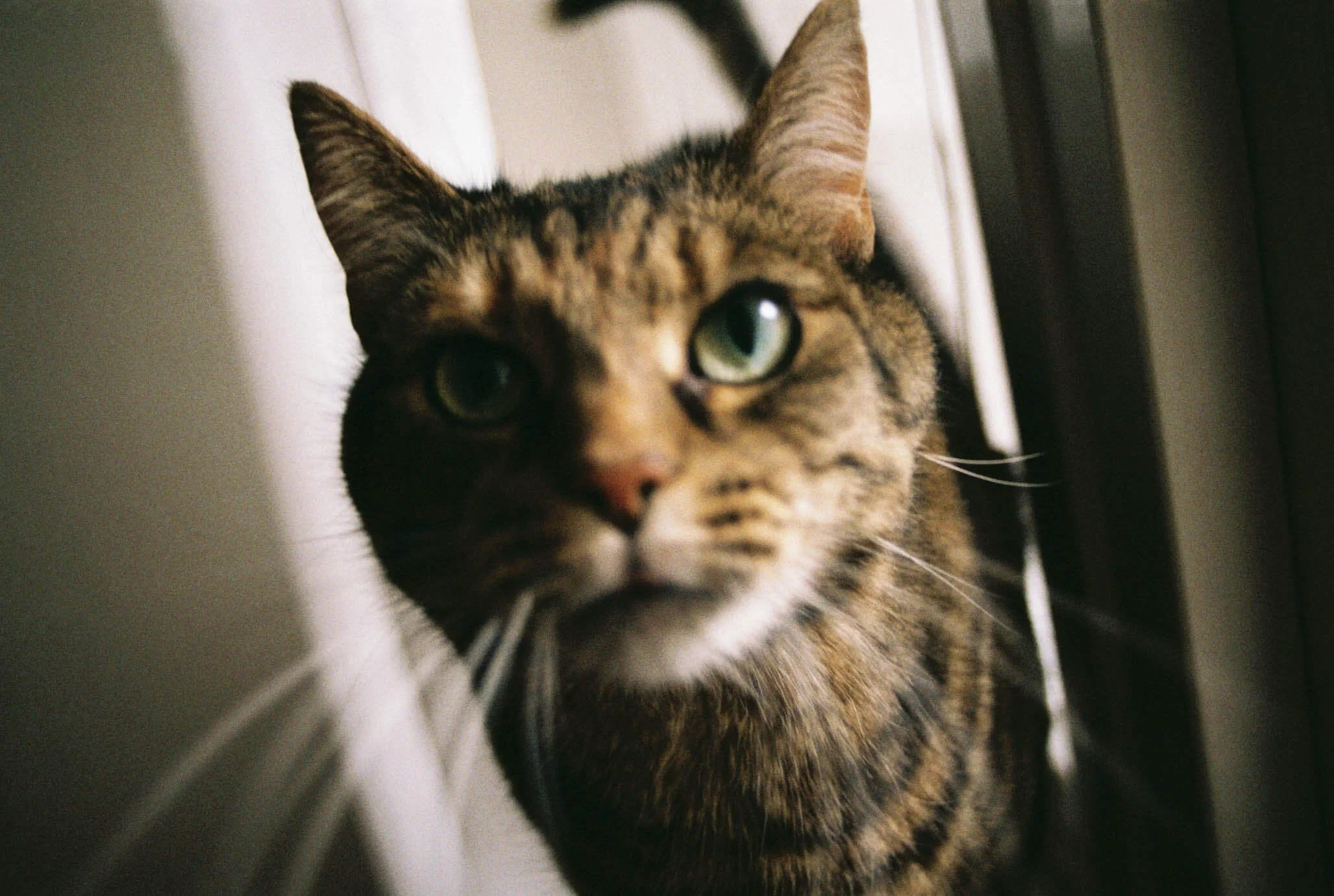 A20603_031A.jpg