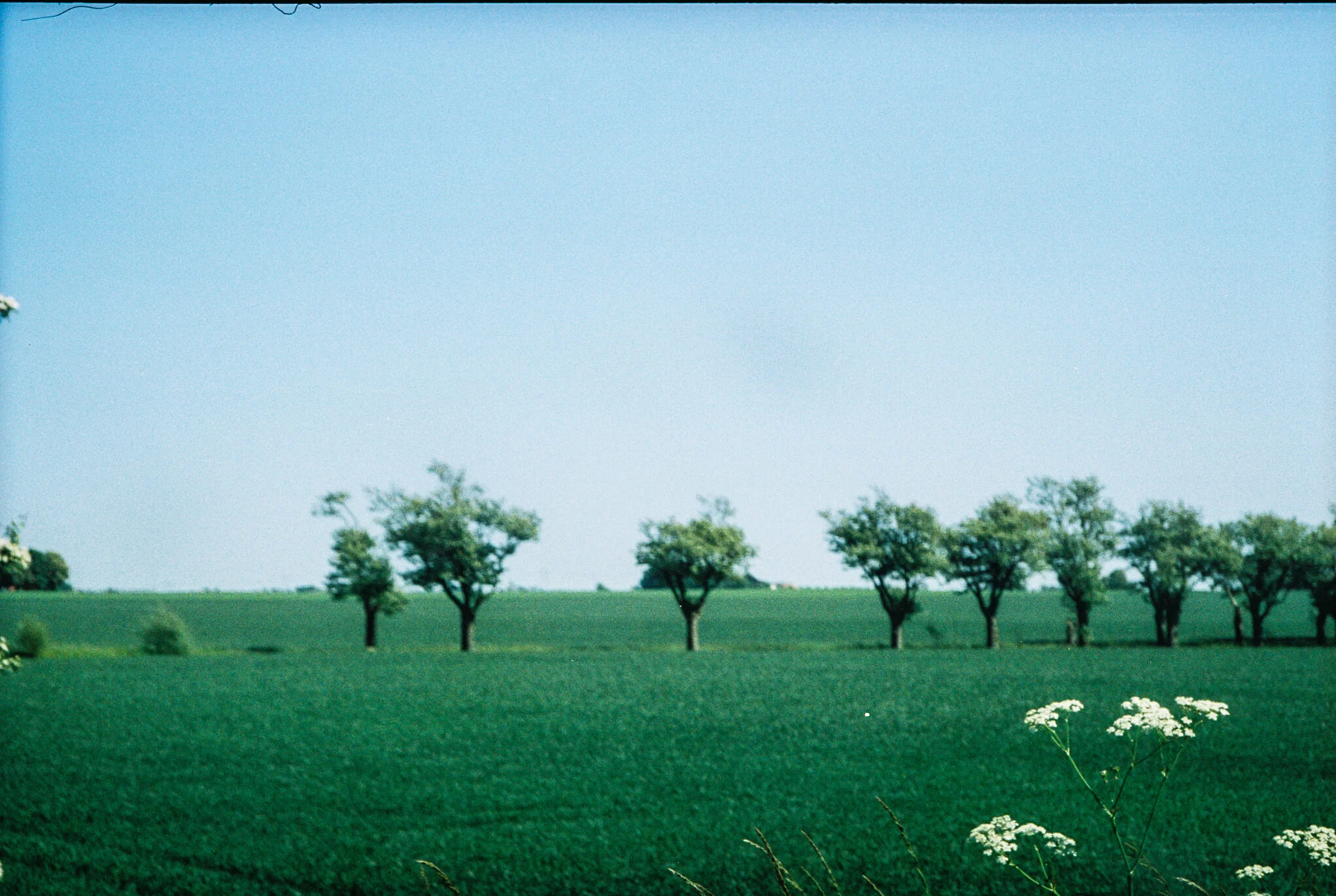 A106985_14.jpg