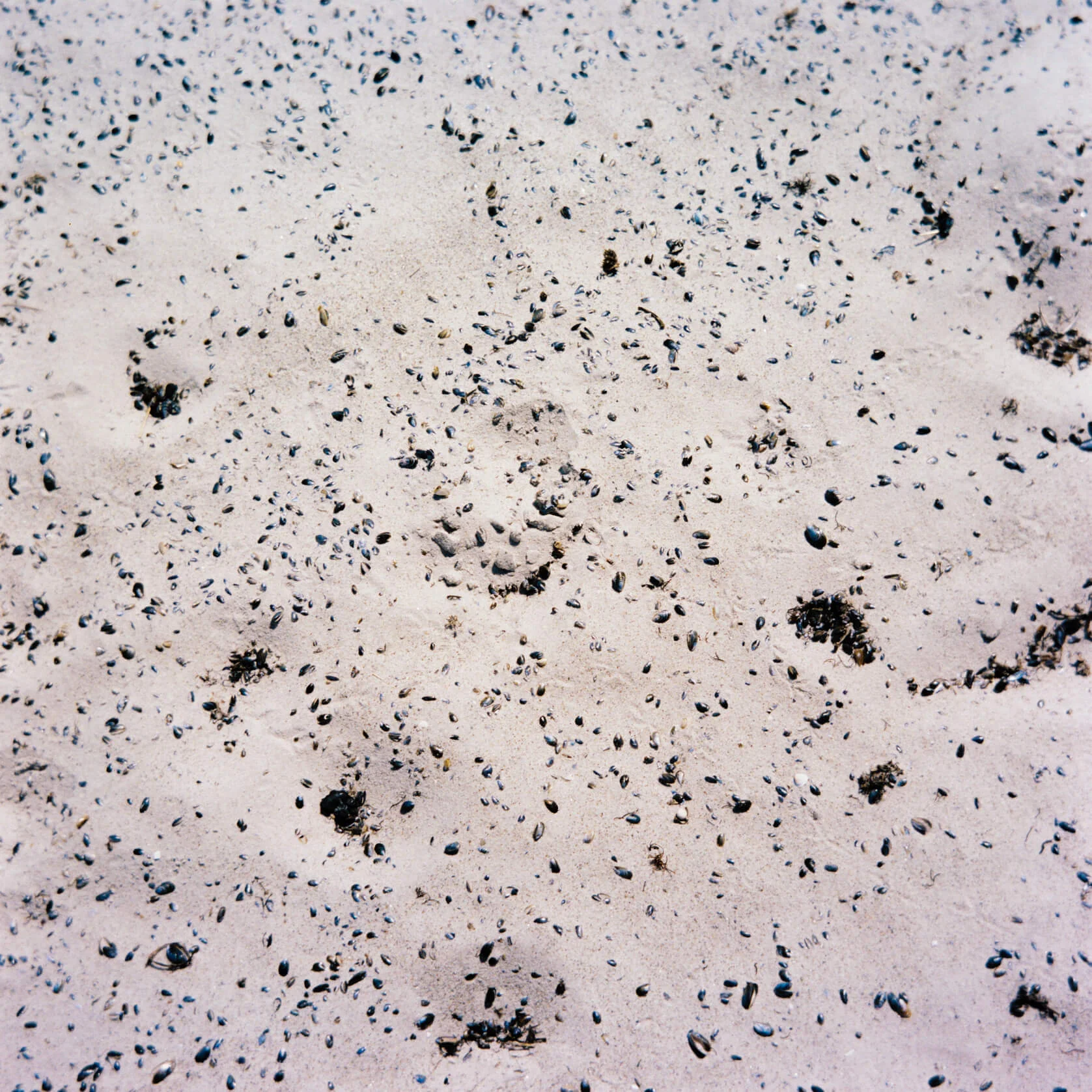 A106993_7.jpg