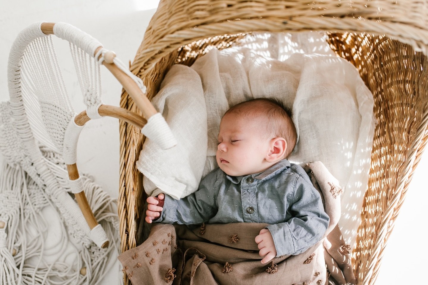 I just love a sweet little newborn profile photo! I think it's fun to document at any age so you can see how your babies grow up and how they look like siblings or other family members. 

Hope everyone has a great weekend!