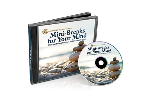 3D casing and CD copy_smaller.jpg