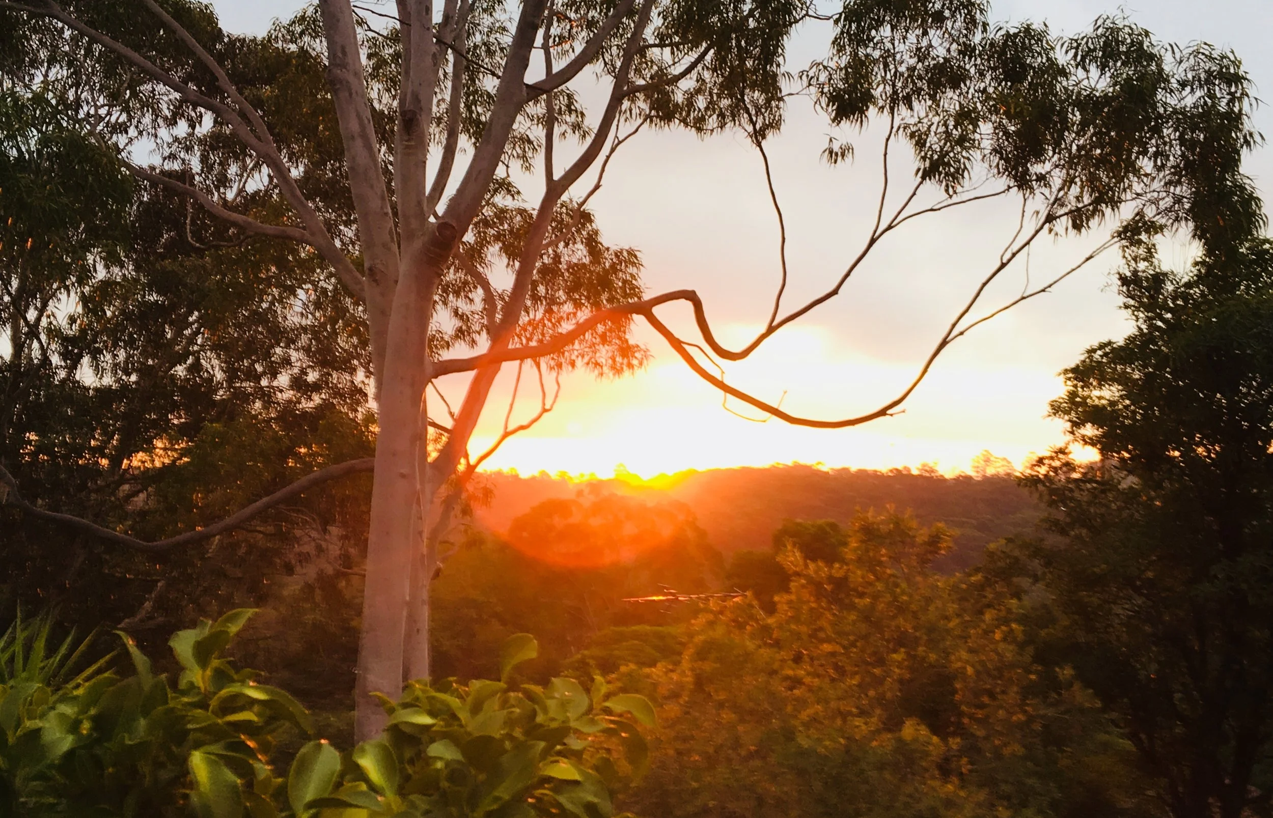 The sunset on my 'Good Day'. 