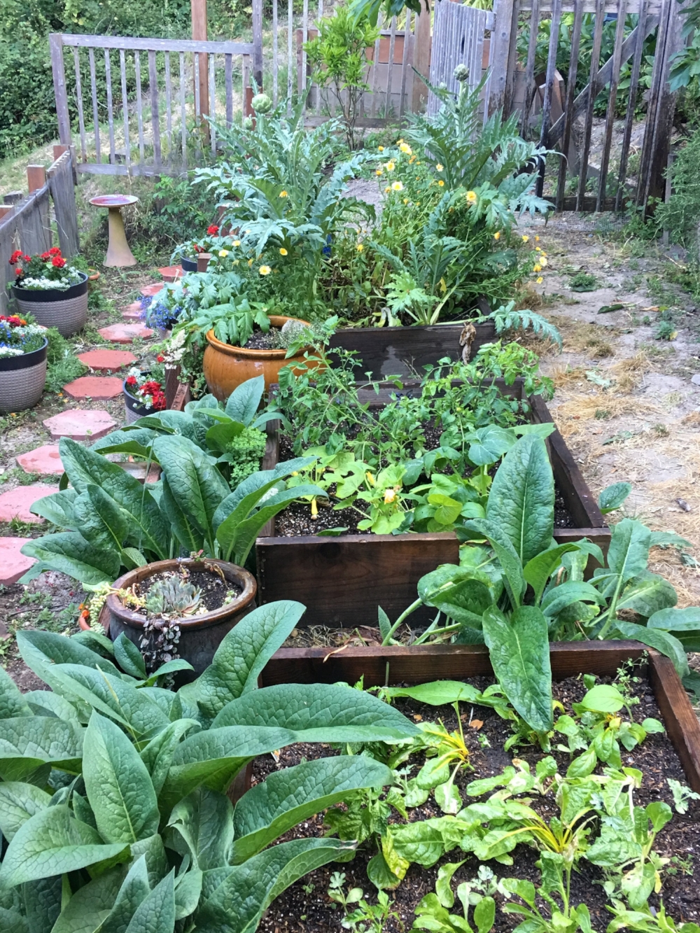 My Summer Garden