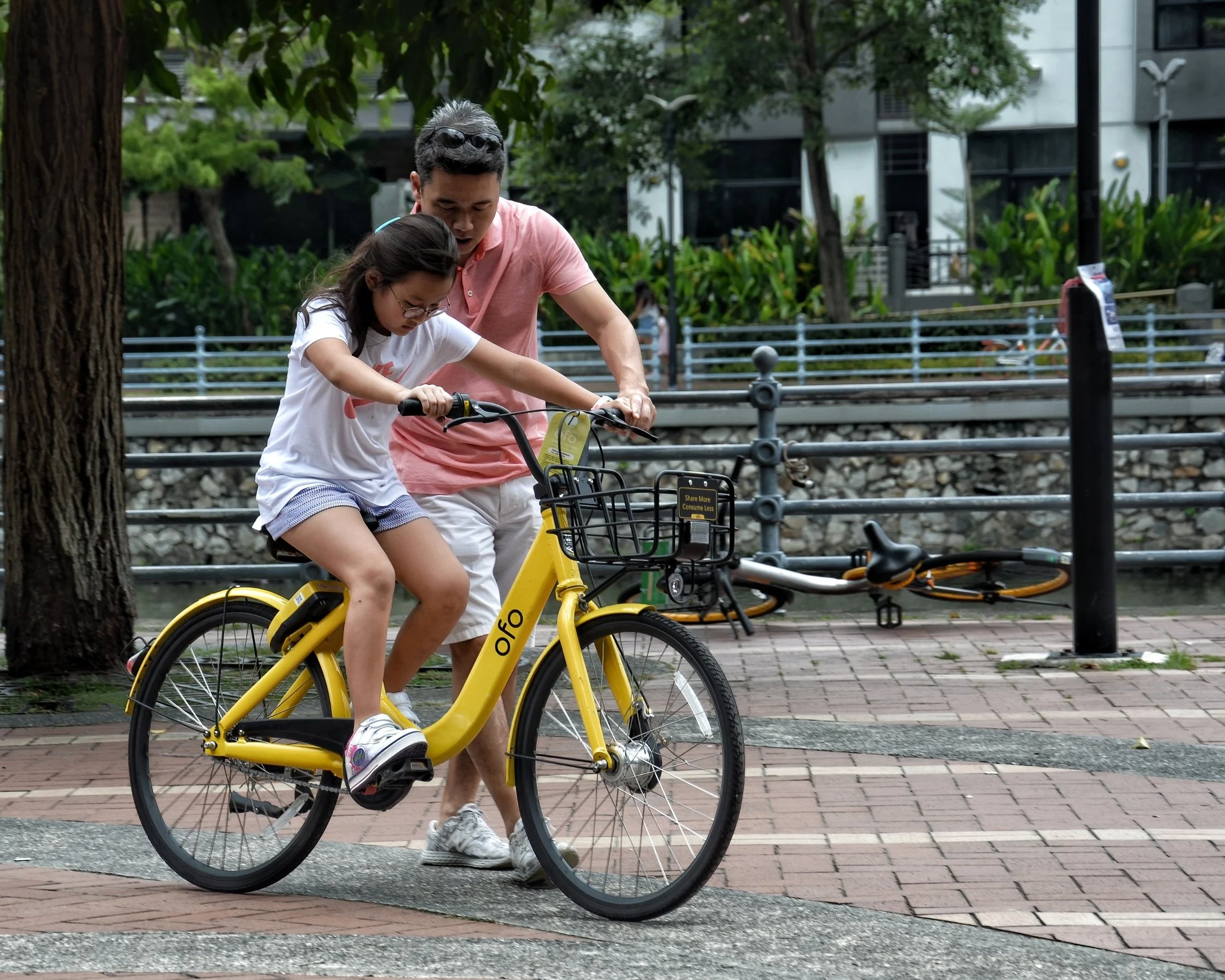 active-adult-bicycle-1005803.jpg