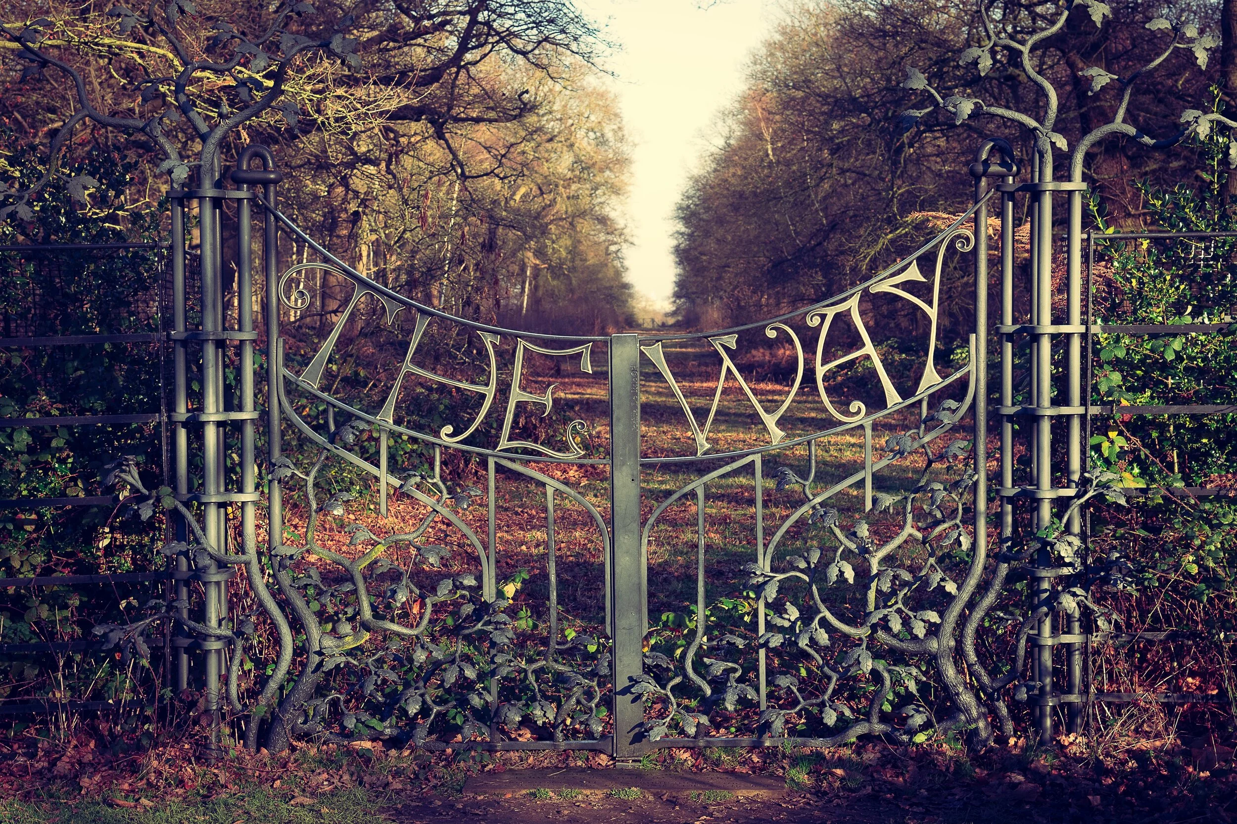garden gate.jpg