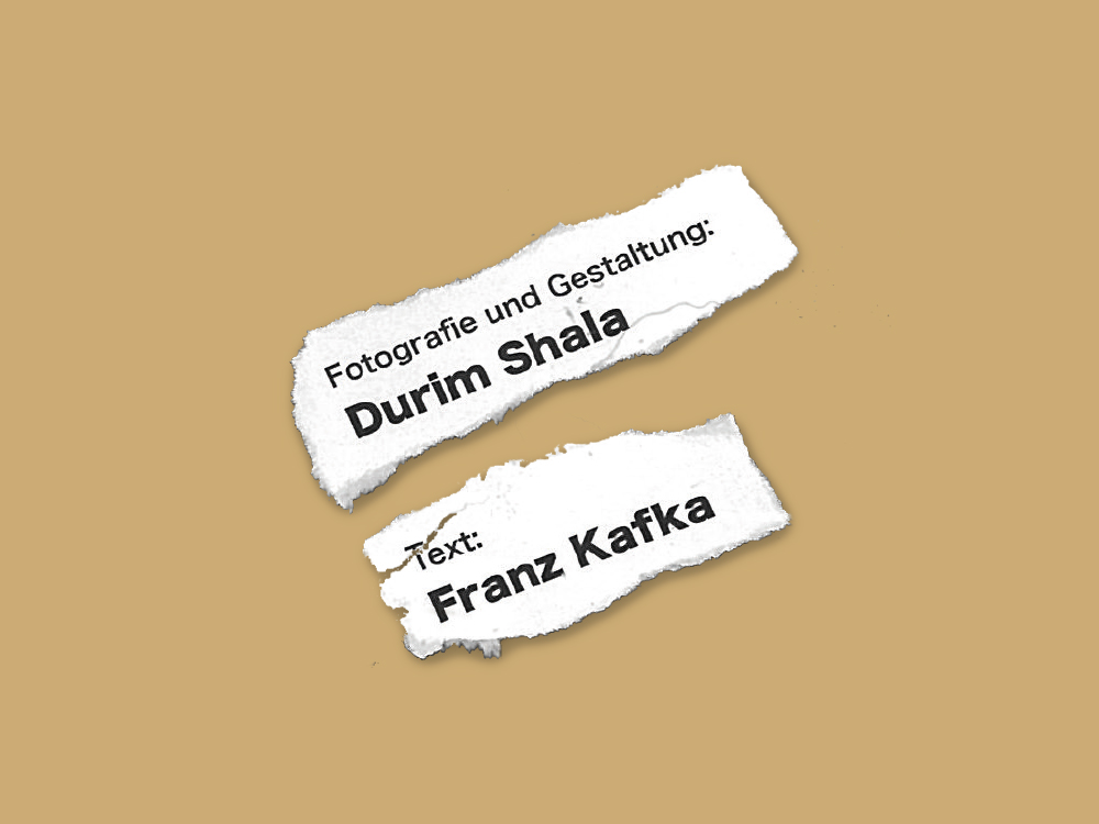 Auftrag: