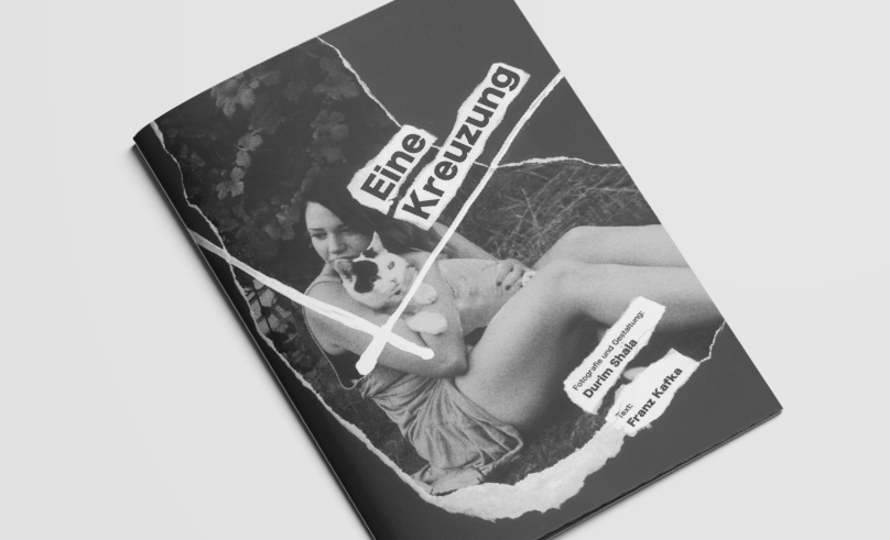 kafka_eine_kreuzung_editorial_design_cover.jpg