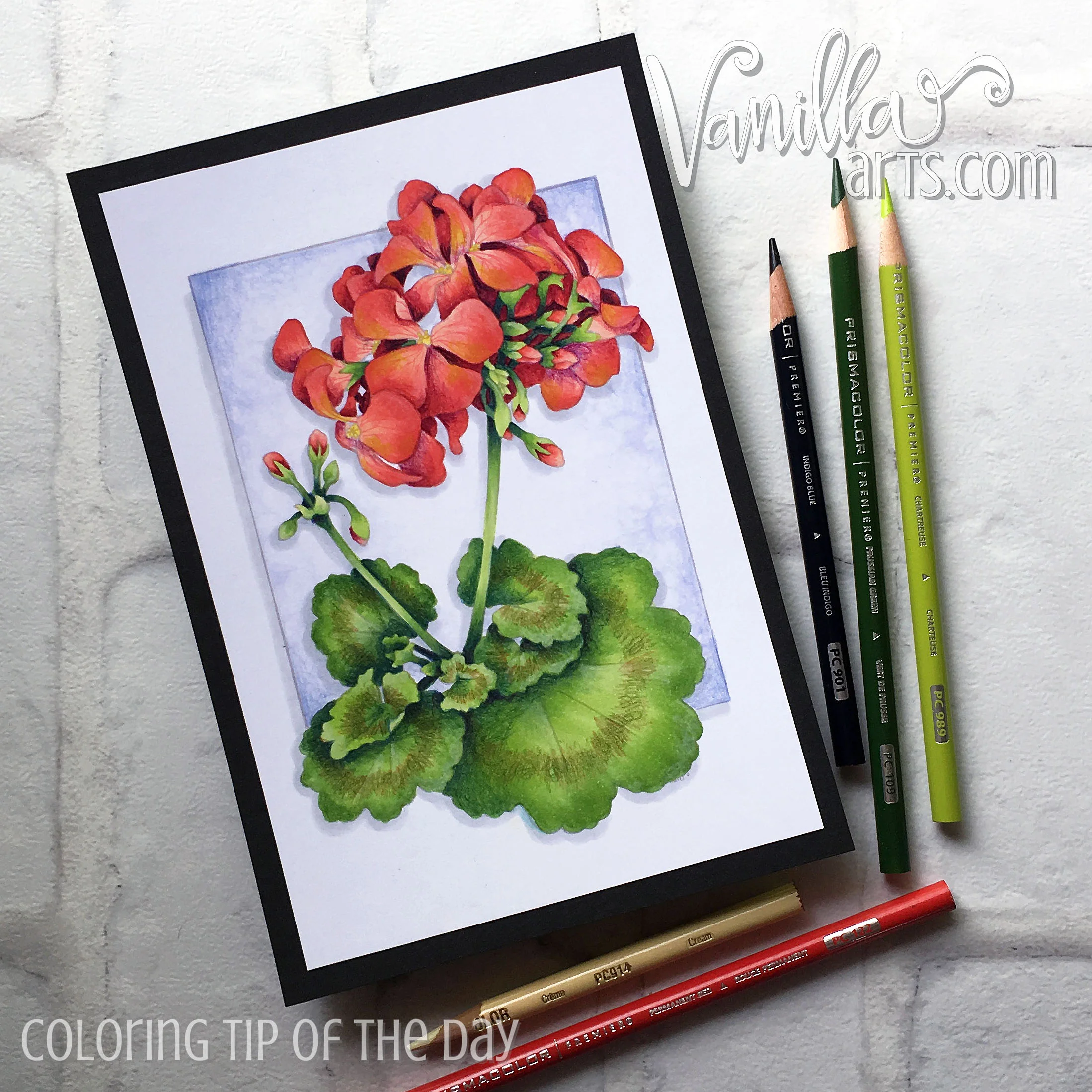 Copic Coloring Lesson: learn the Push & Pull technique for floral realism | MarkerPainting.com